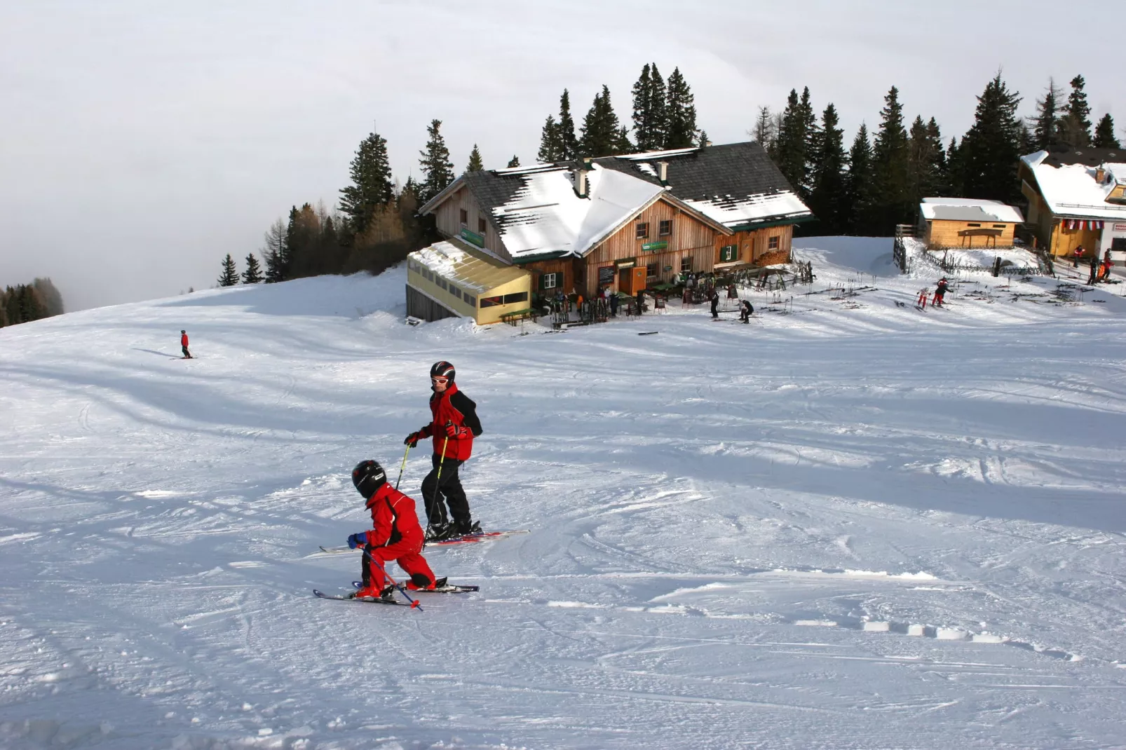 Apartment Bernadette 1 / EG-Area winter 20km
