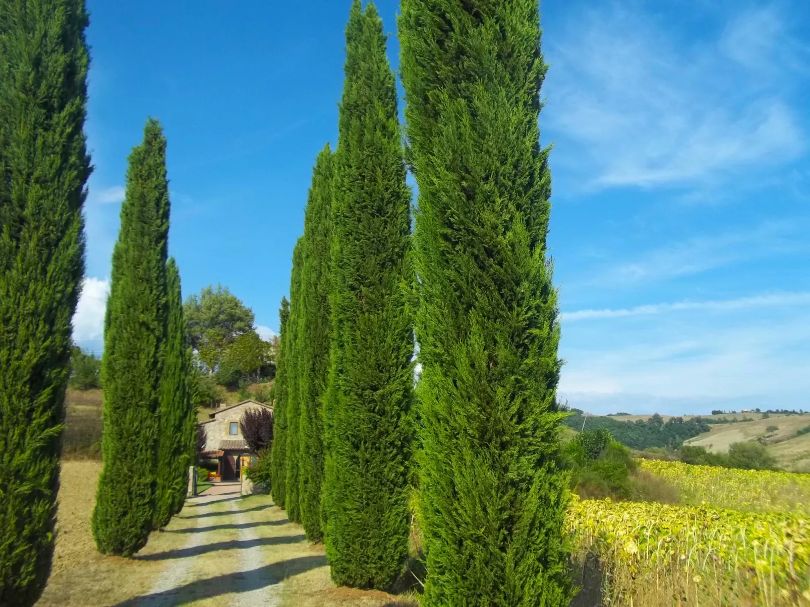Podere Agnese-Outside