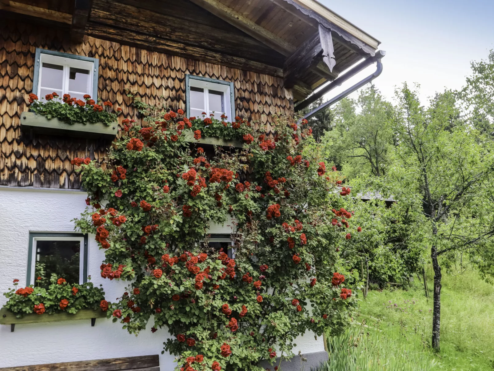 Oberhaslach-Outside