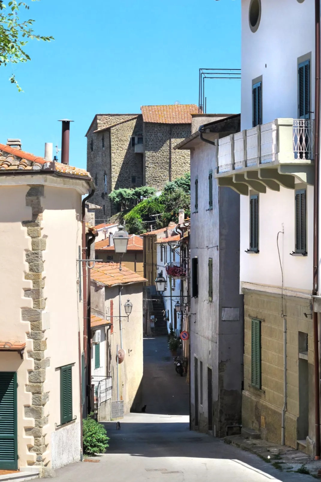 Grilli-Area