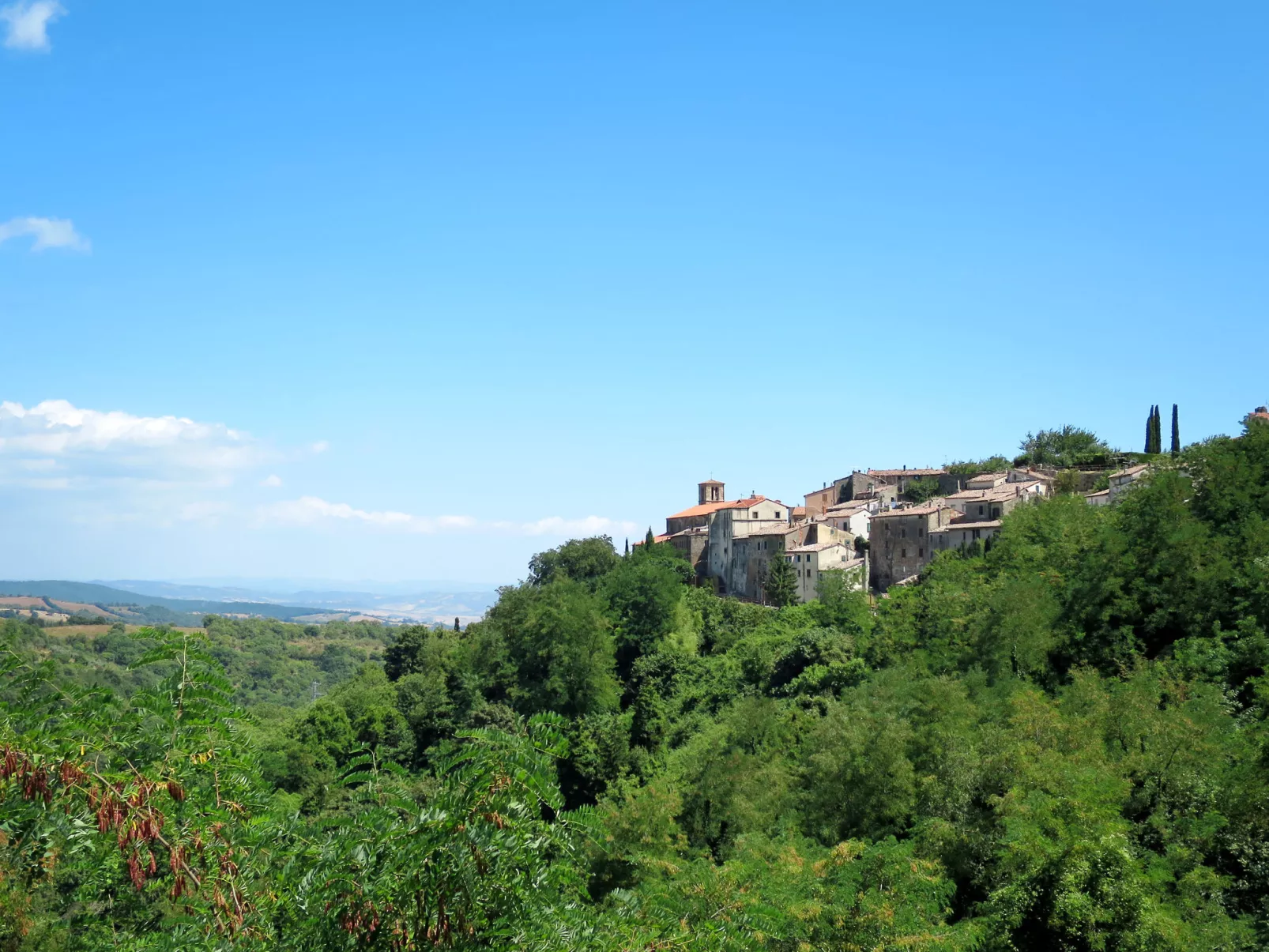 Grilli-Area