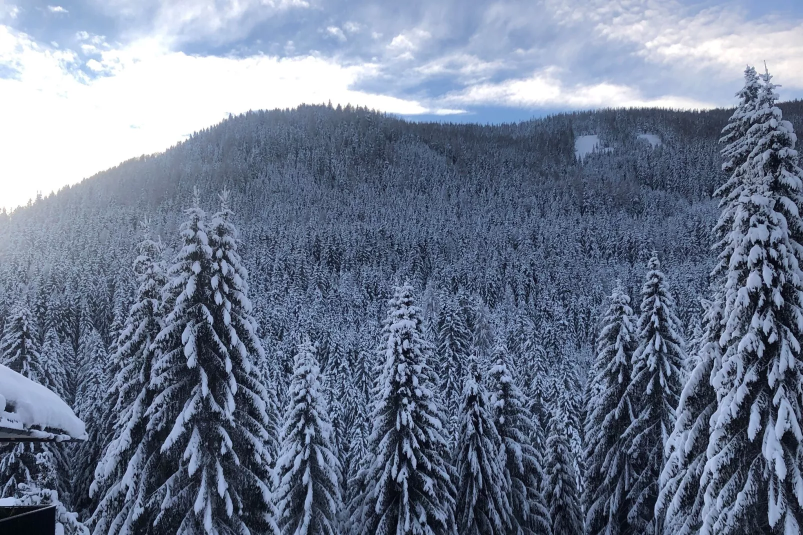 Apartment Mountain View-Exterior winter