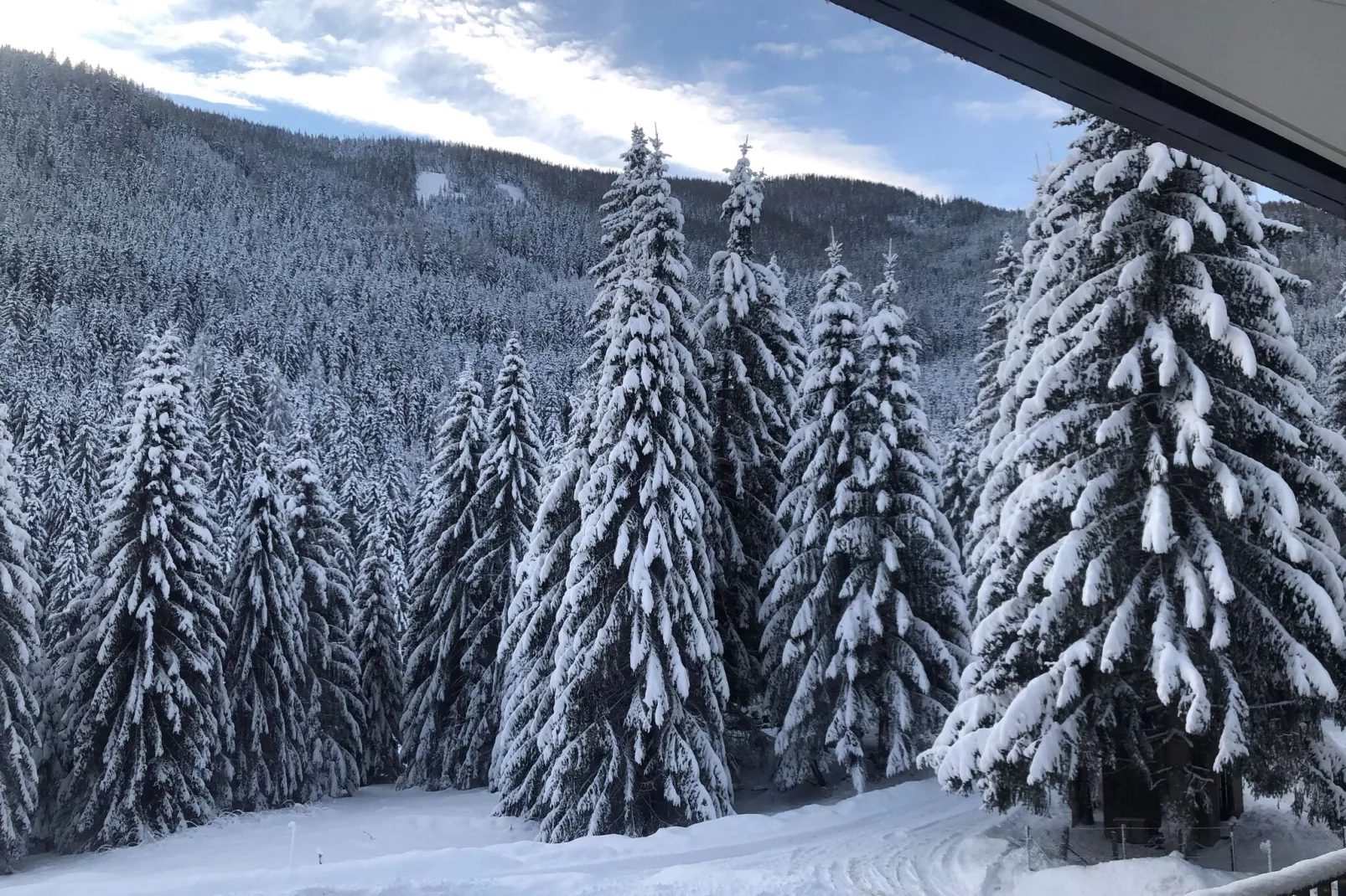 Apartment Mountain View-Exterior winter