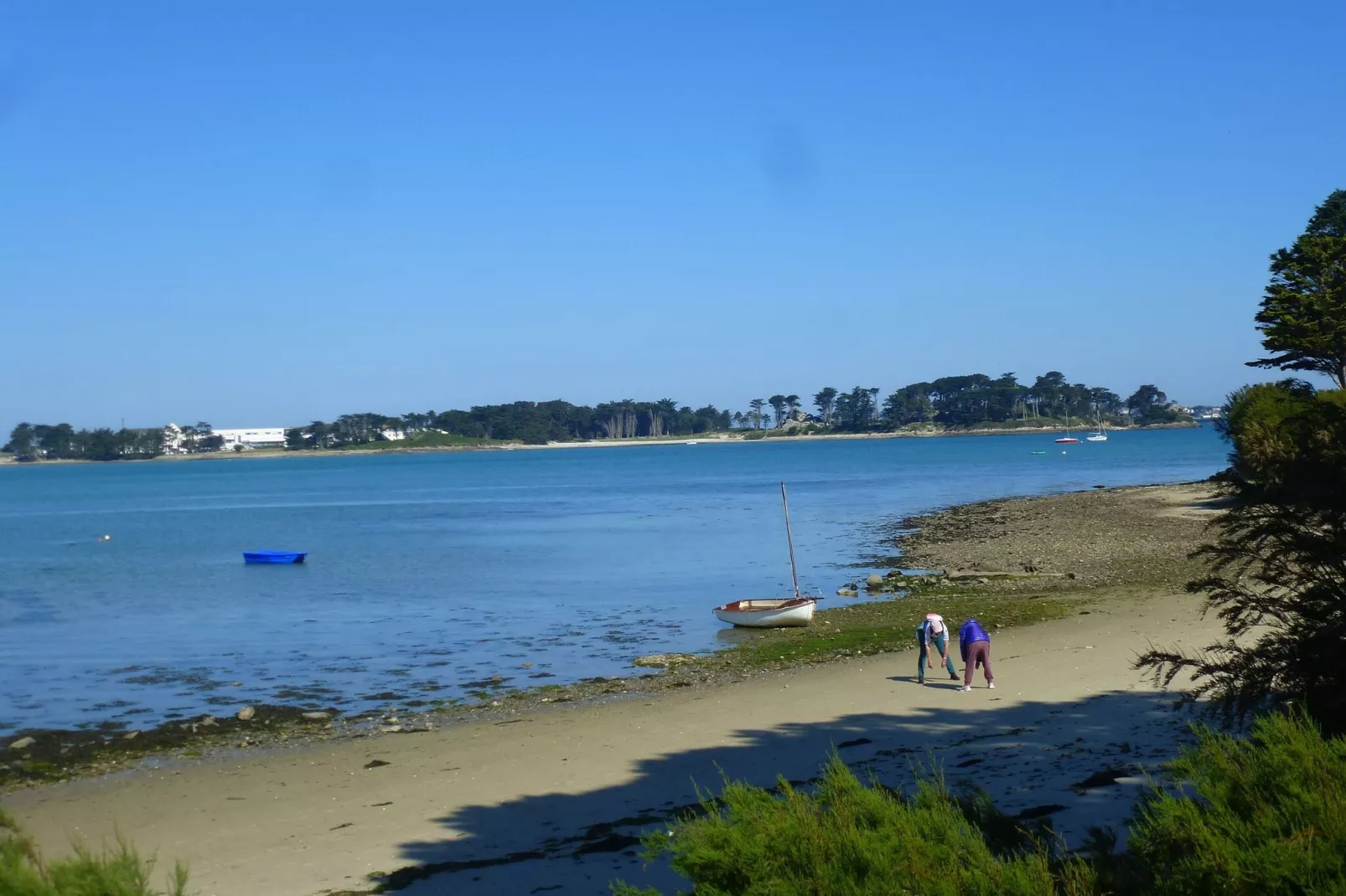 180° Panorama Meerblick Ferienwohnung Roscoff-Areas summer 1km
