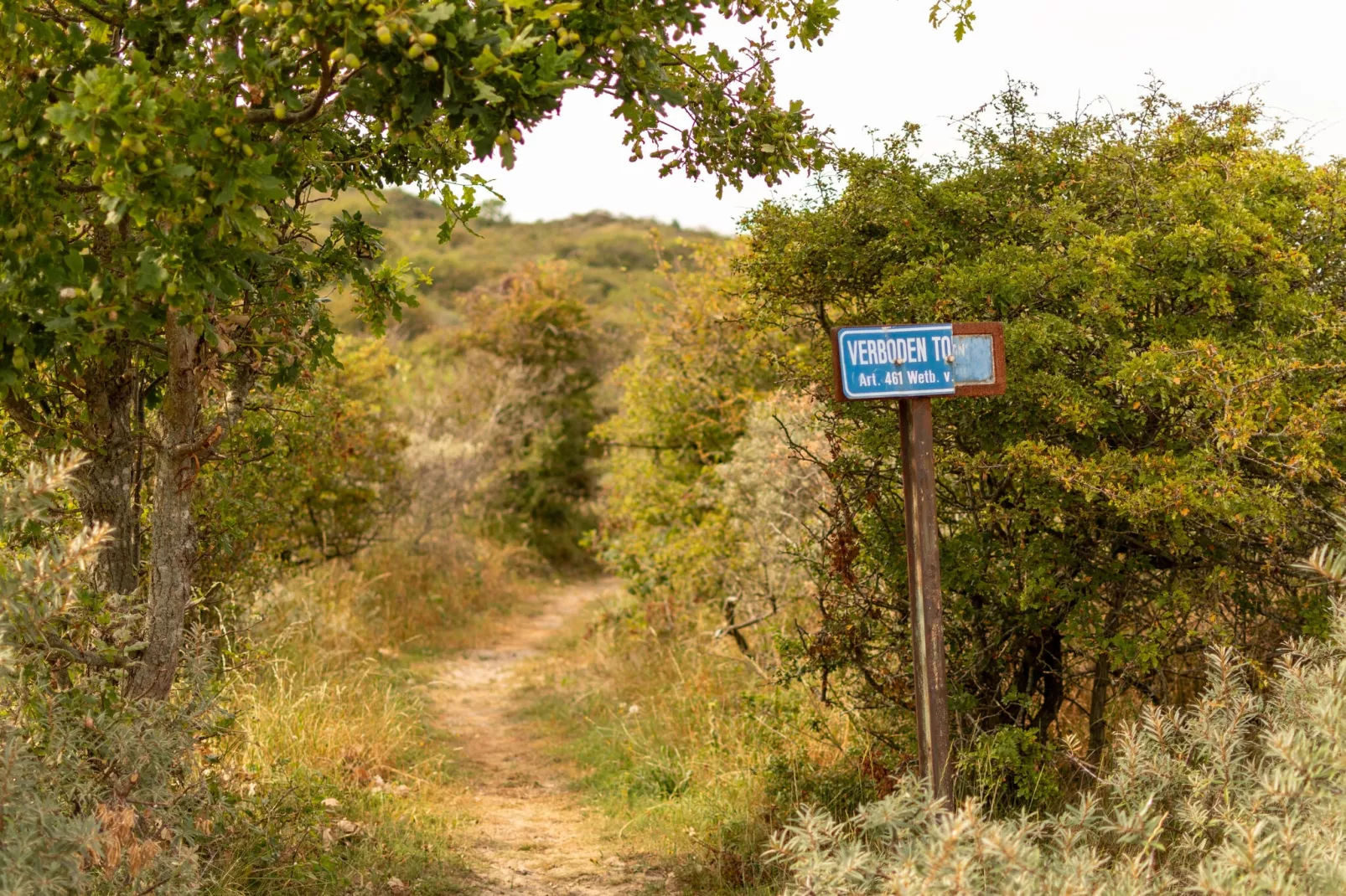 Vakantiepark Duinzicht 2-Areas summer 5km