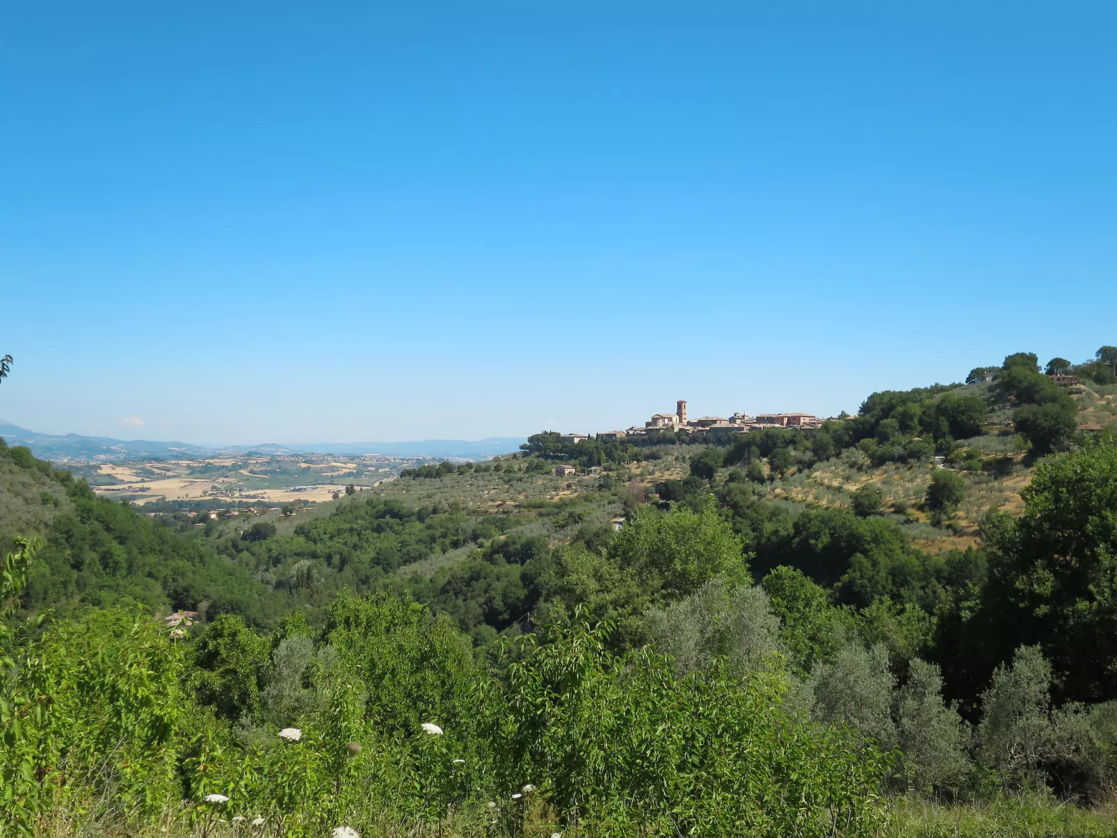 Paolotti-Area