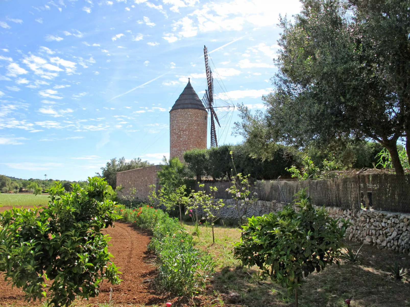 Moli de Son Vidal-Outside