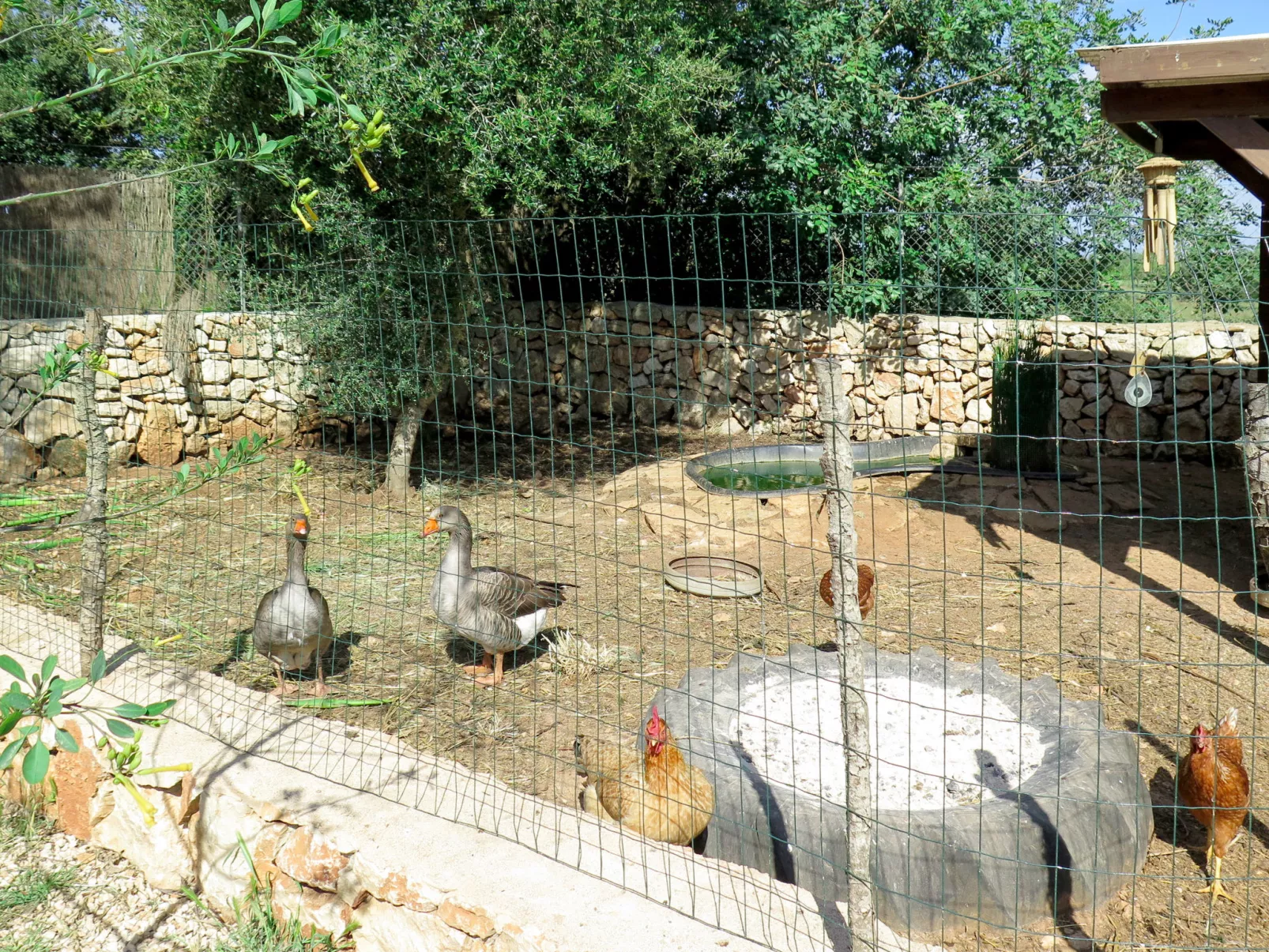 Moli de Son Vidal-Outside