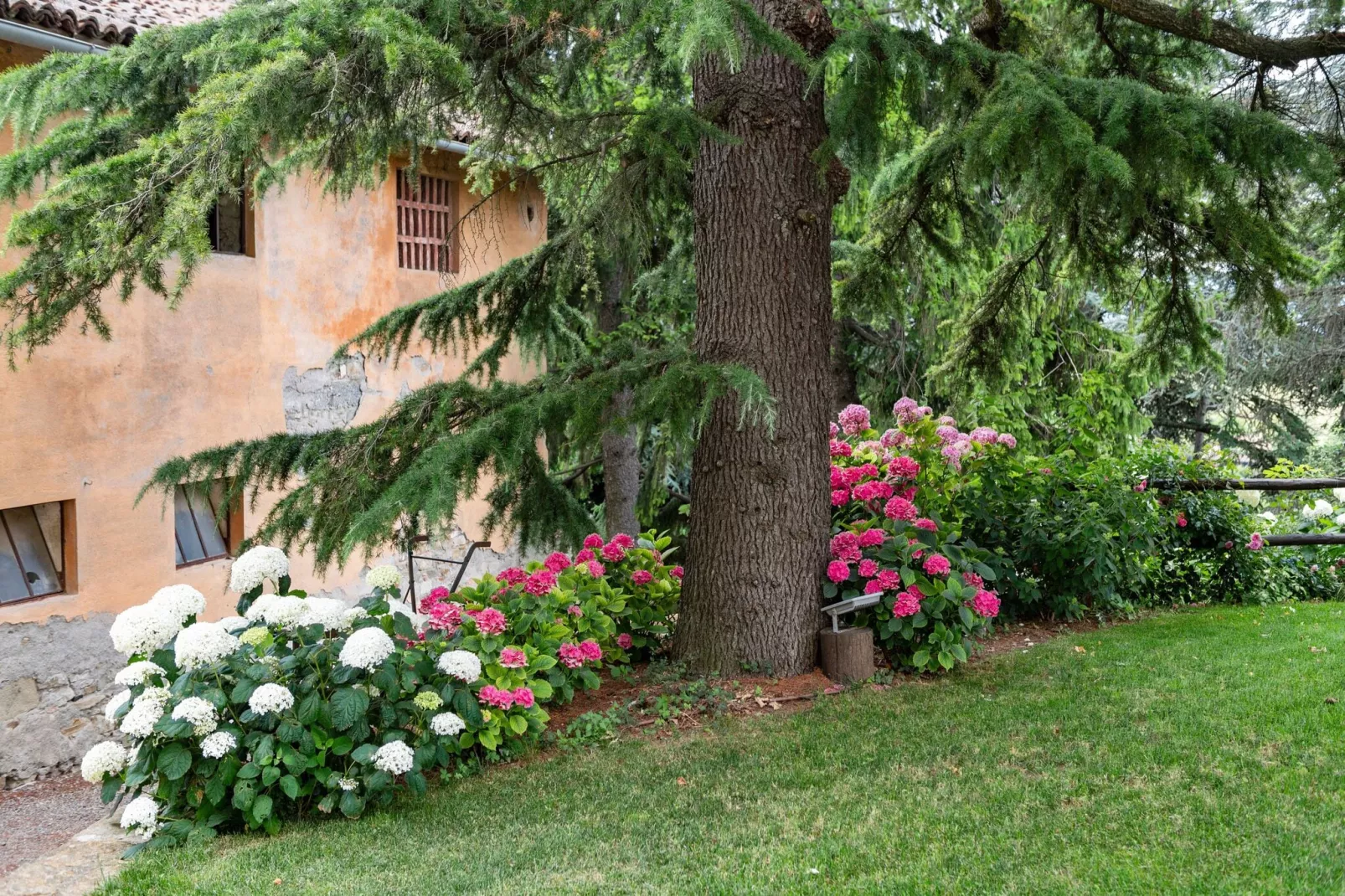 Artemisia-Gardens summer