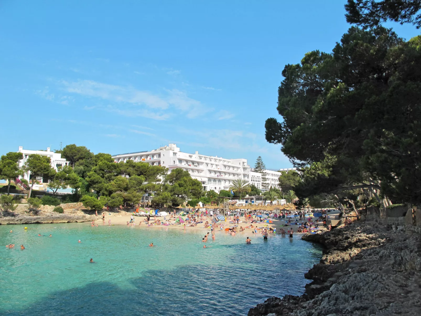 Playa d'Or-Area