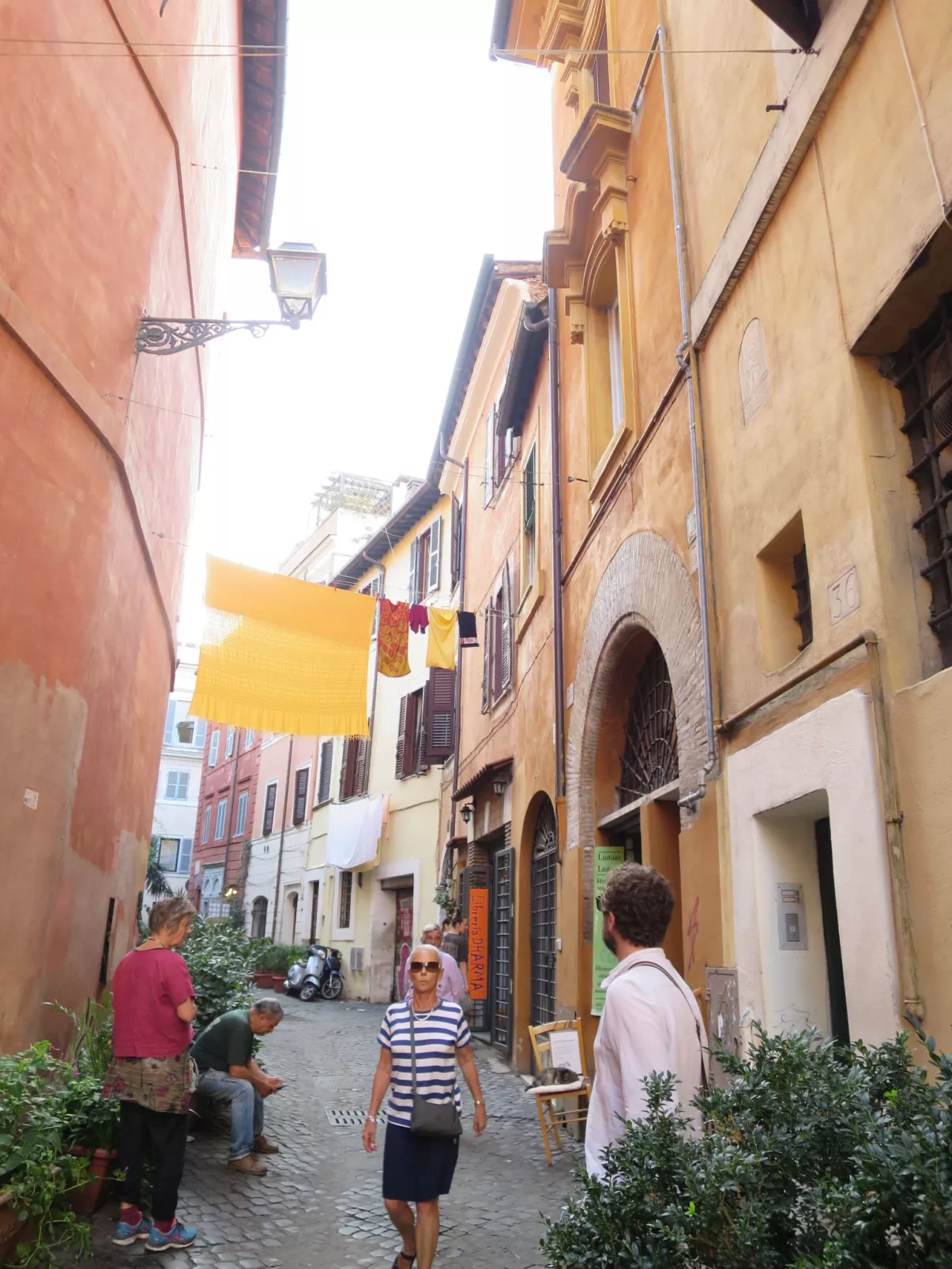 Aurelia-Area