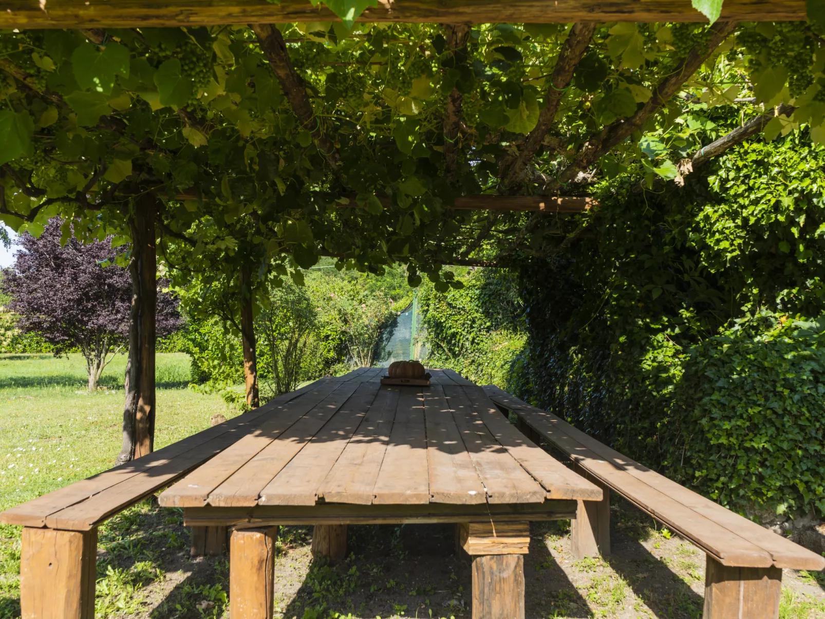 Le Querce-Outside