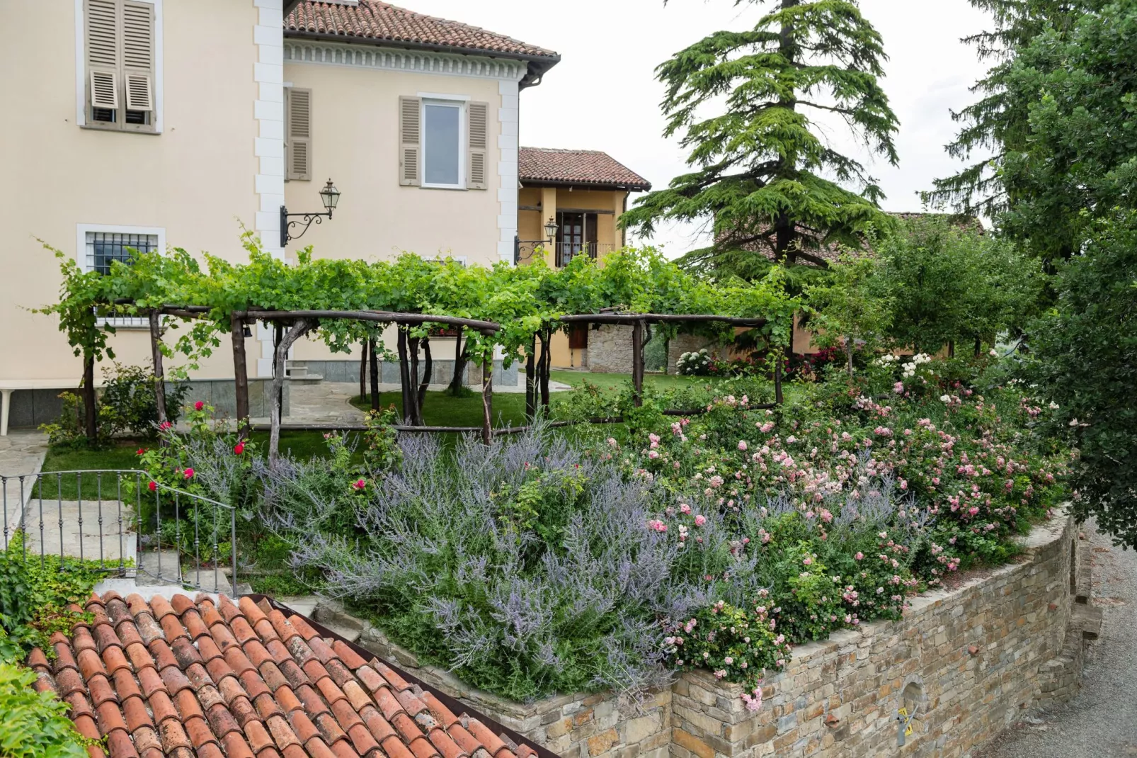 Artemisia-Exterior summer