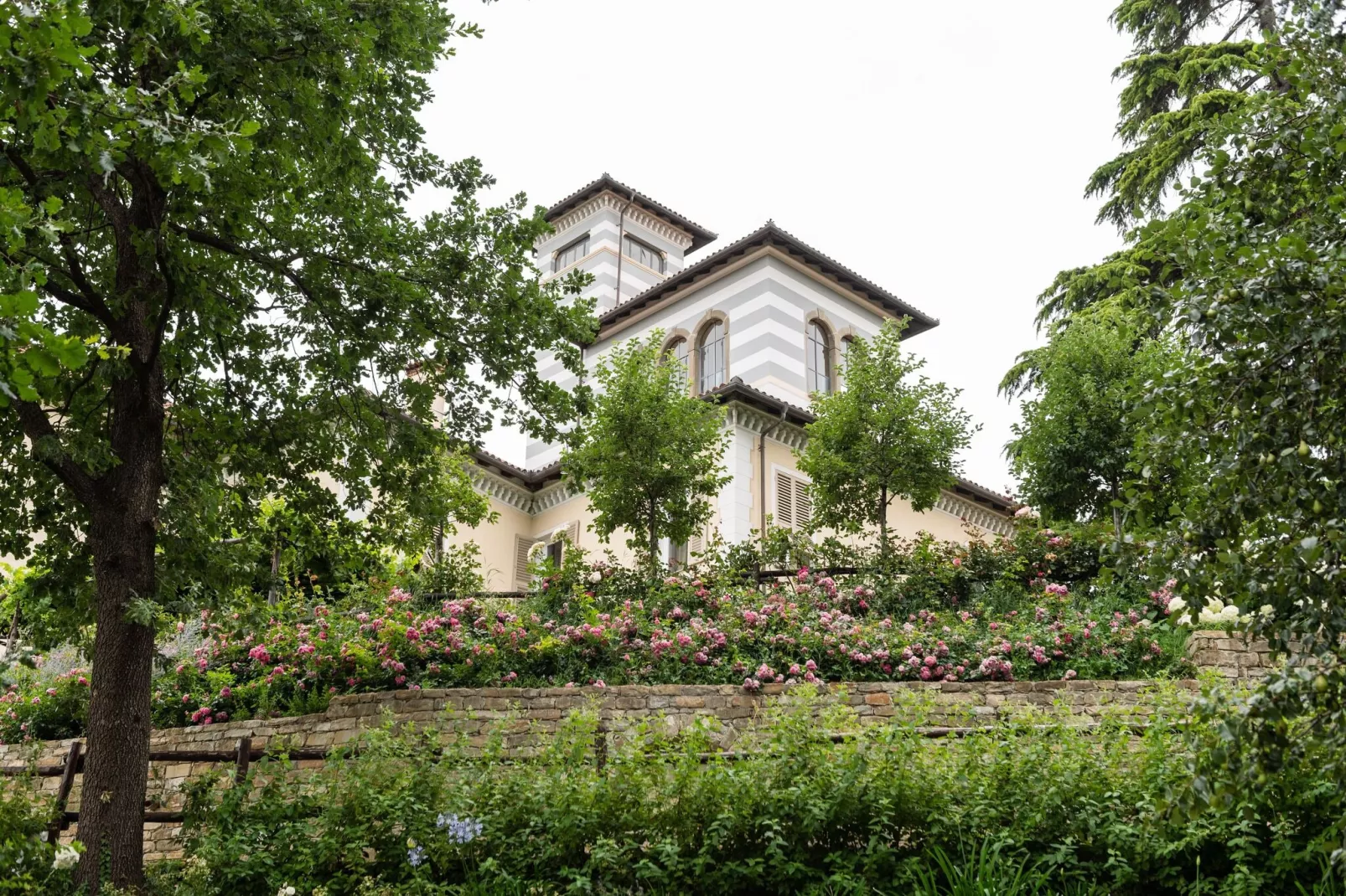 Artemisia-Exterior summer
