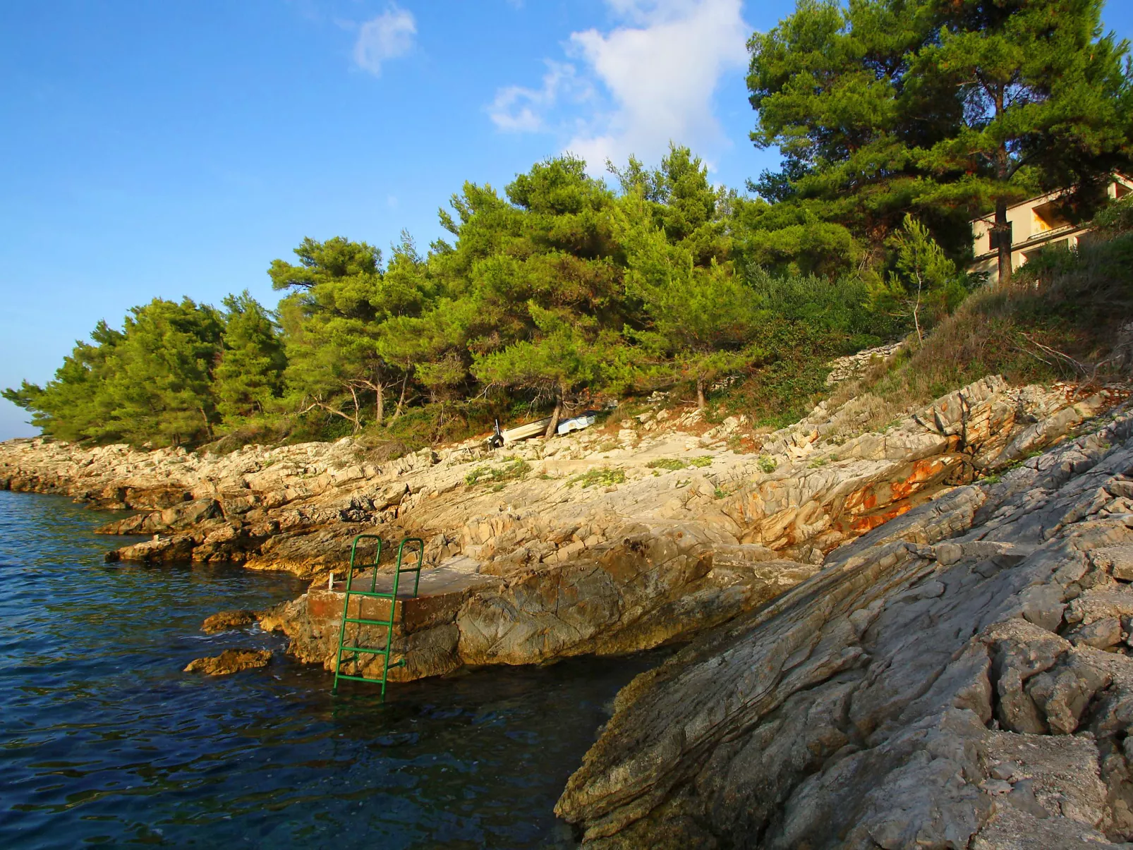 Dijana-Dehors