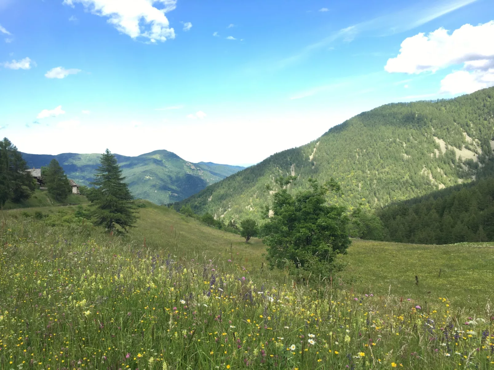 Casot Brusa-Area