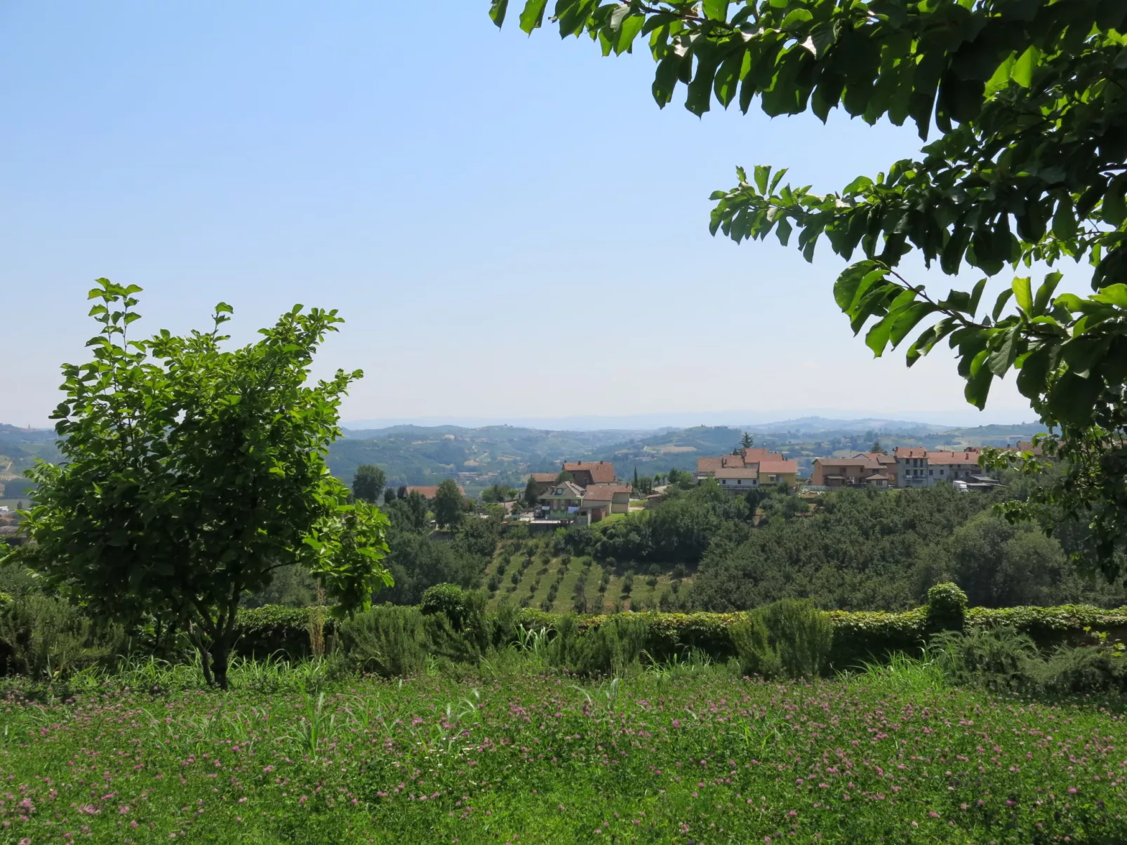 Il Carroccio-Draußen