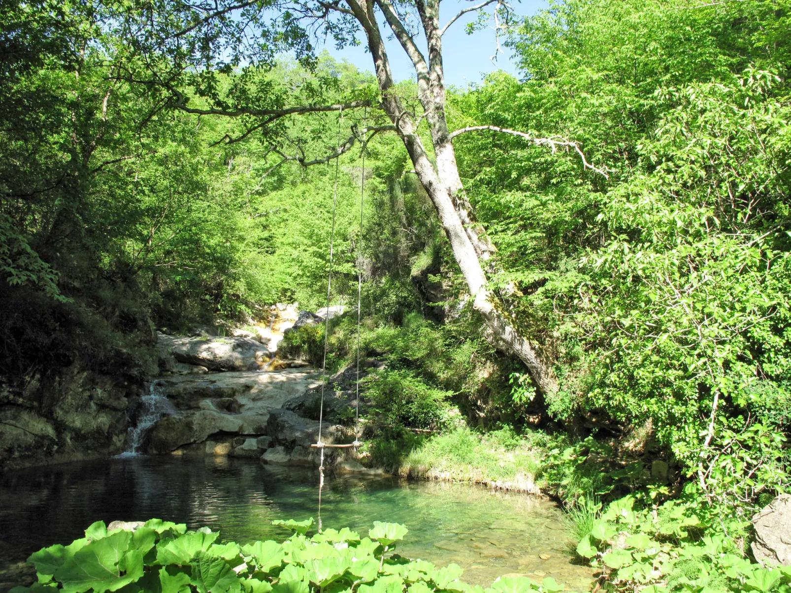 Il Vecchio Mulino-Area