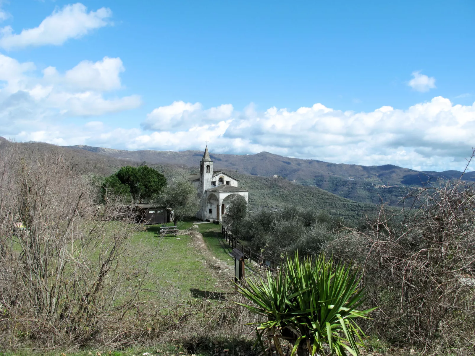 Appartamento 1-Area