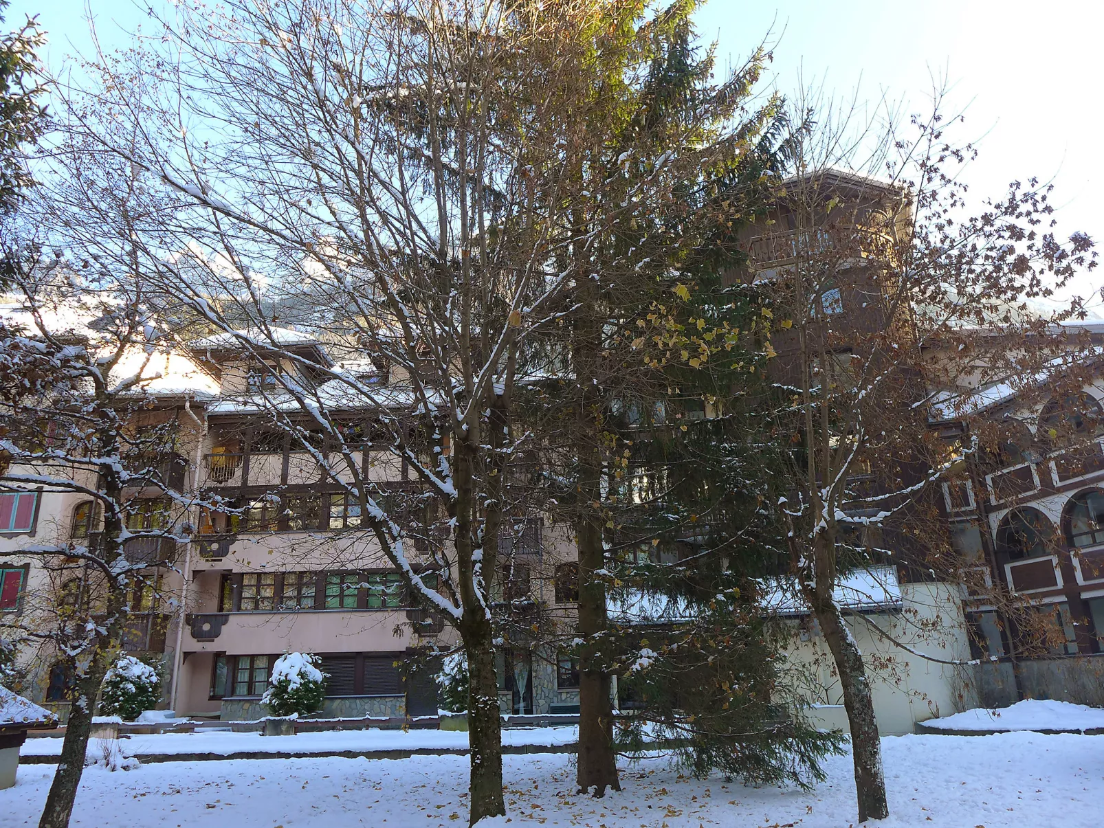 Jonquilles-Draußen