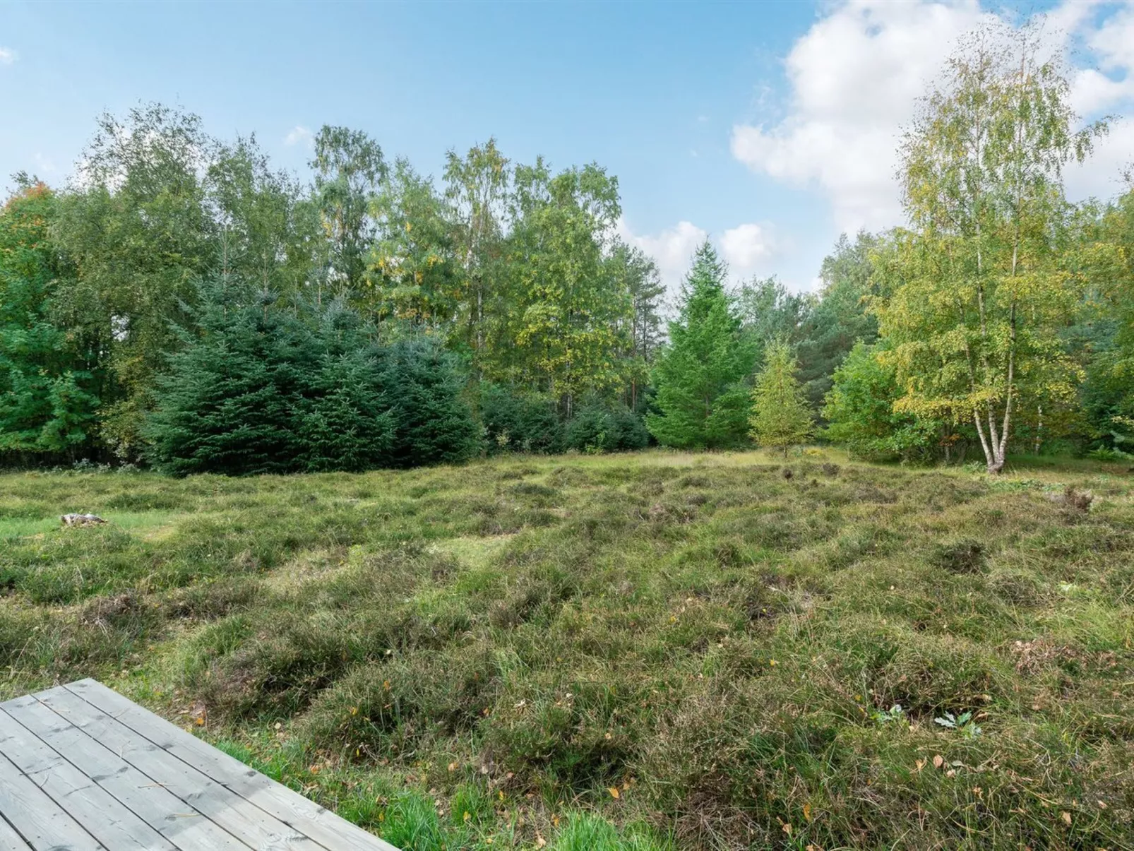 "Esteri" - 800m from the sea-Outside