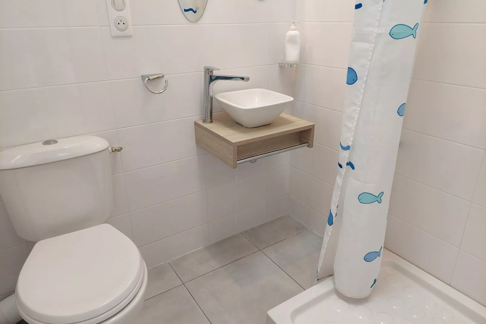 Ferienhaus mit Meerblick Camaret-sur-Mer-Bathroom