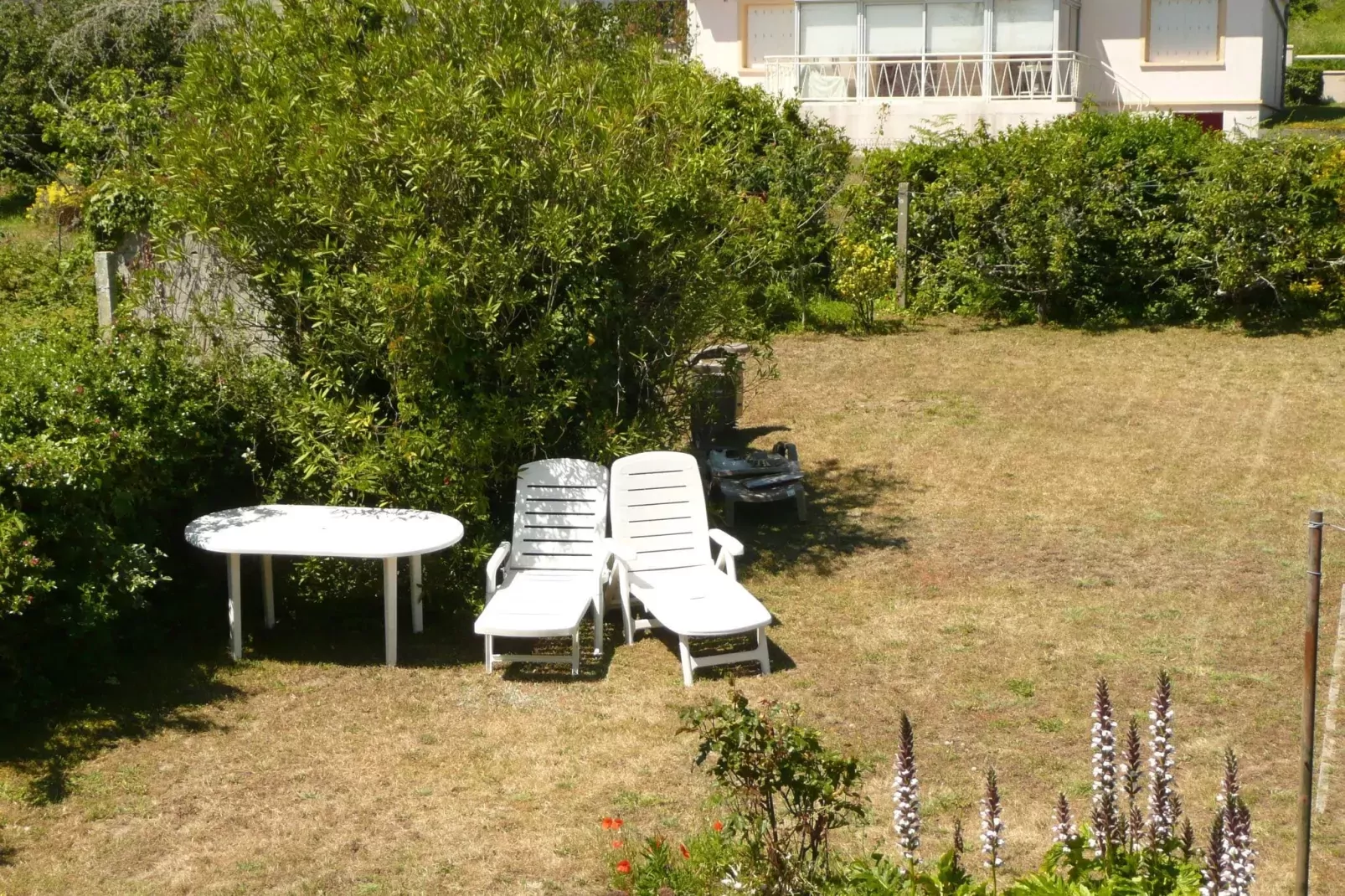 Ferienhaus mit Meerblick Camaret-sur-Mer-Gardens summer