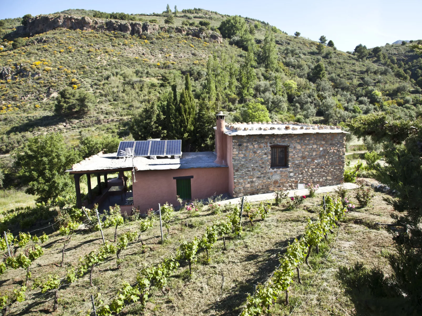 El Cerrillo - Cerro Negro-Drinnen