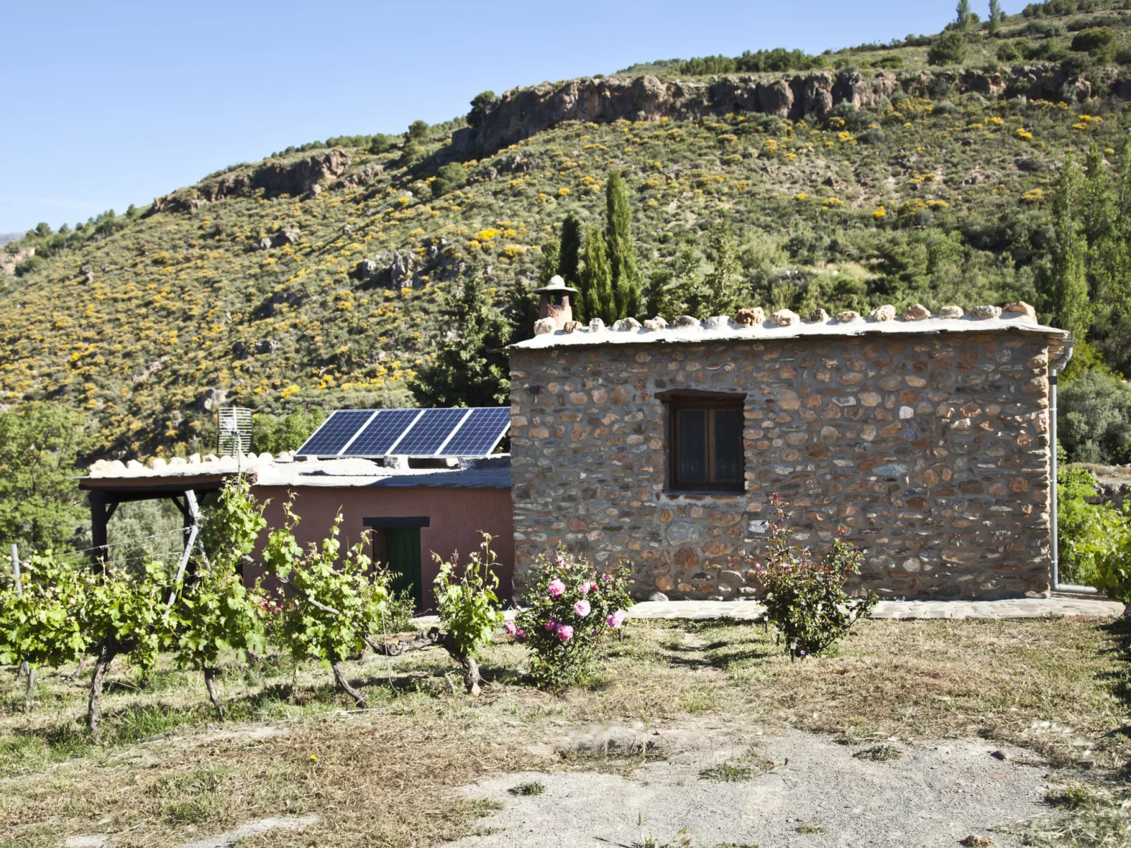 El Cerrillo - Cerro Negro-Draußen
