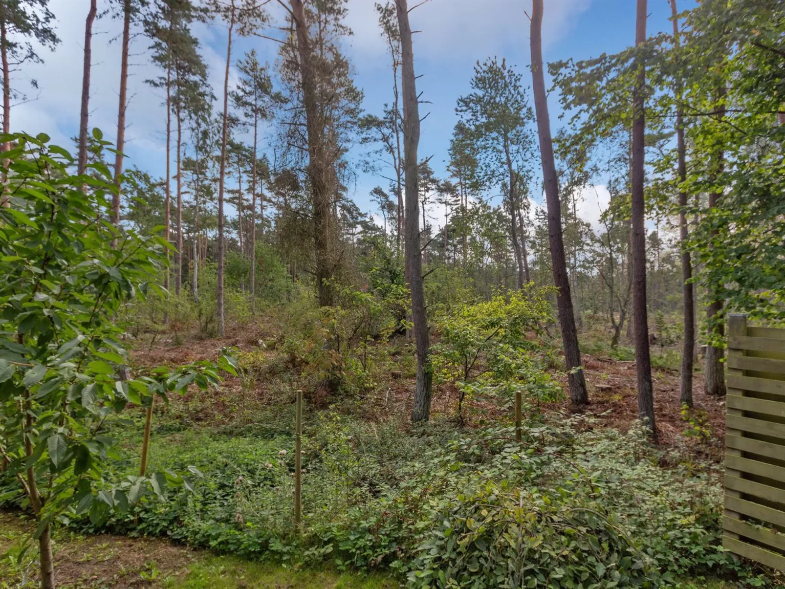 "Unker" - 800m from the sea-Outside