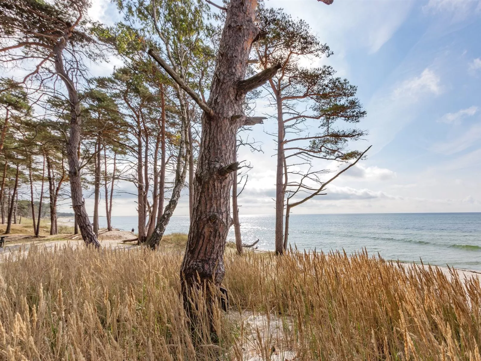 "Unker" - 800m from the sea-Outside