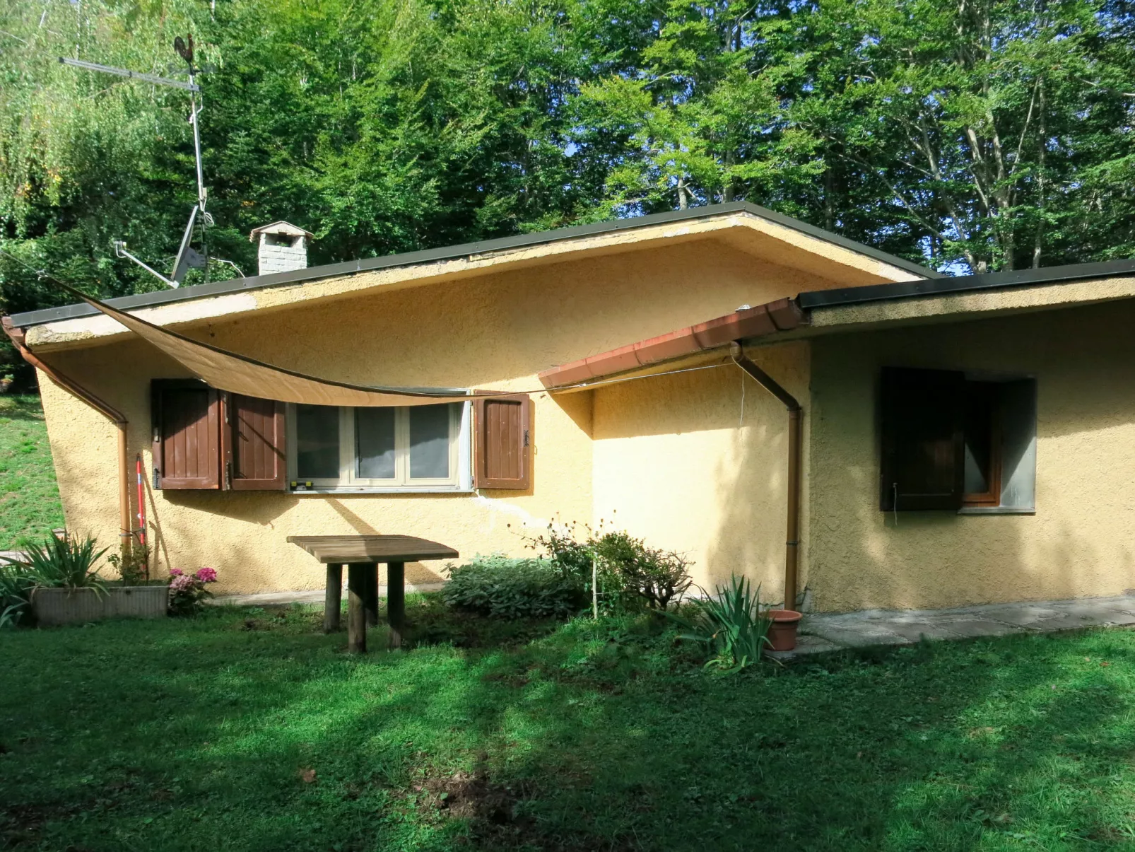 Al Faggio (GLL120)-Outside