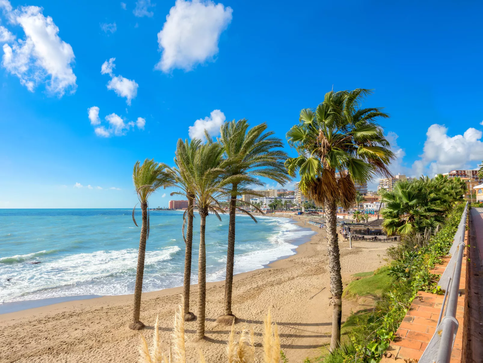 Lola Playa-Area