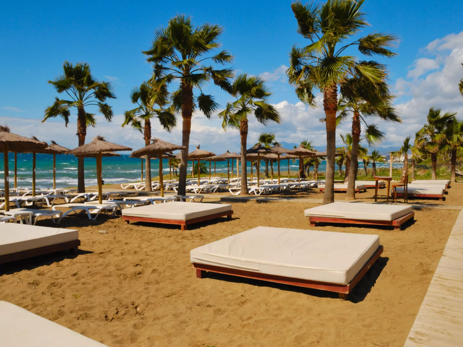 Playa Real-Area