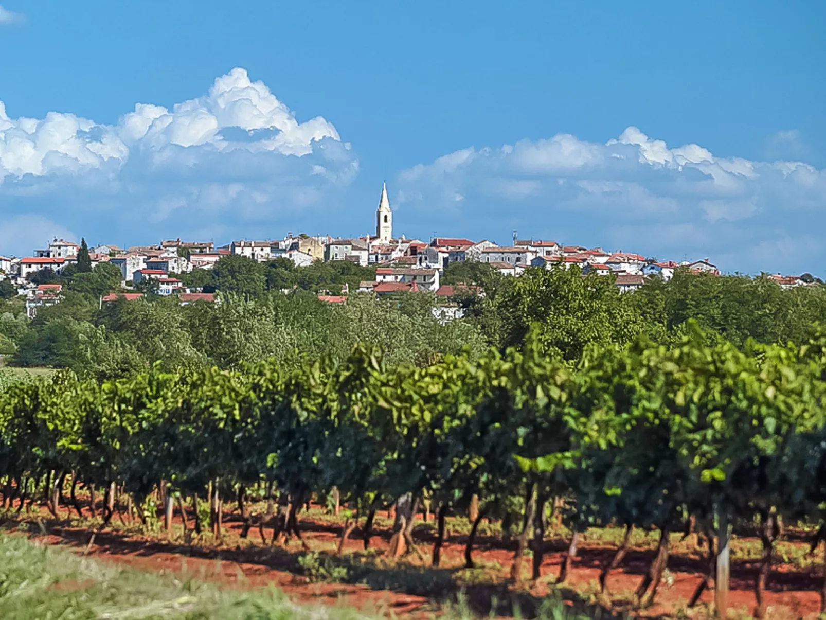 Villa Lucky-Environnement