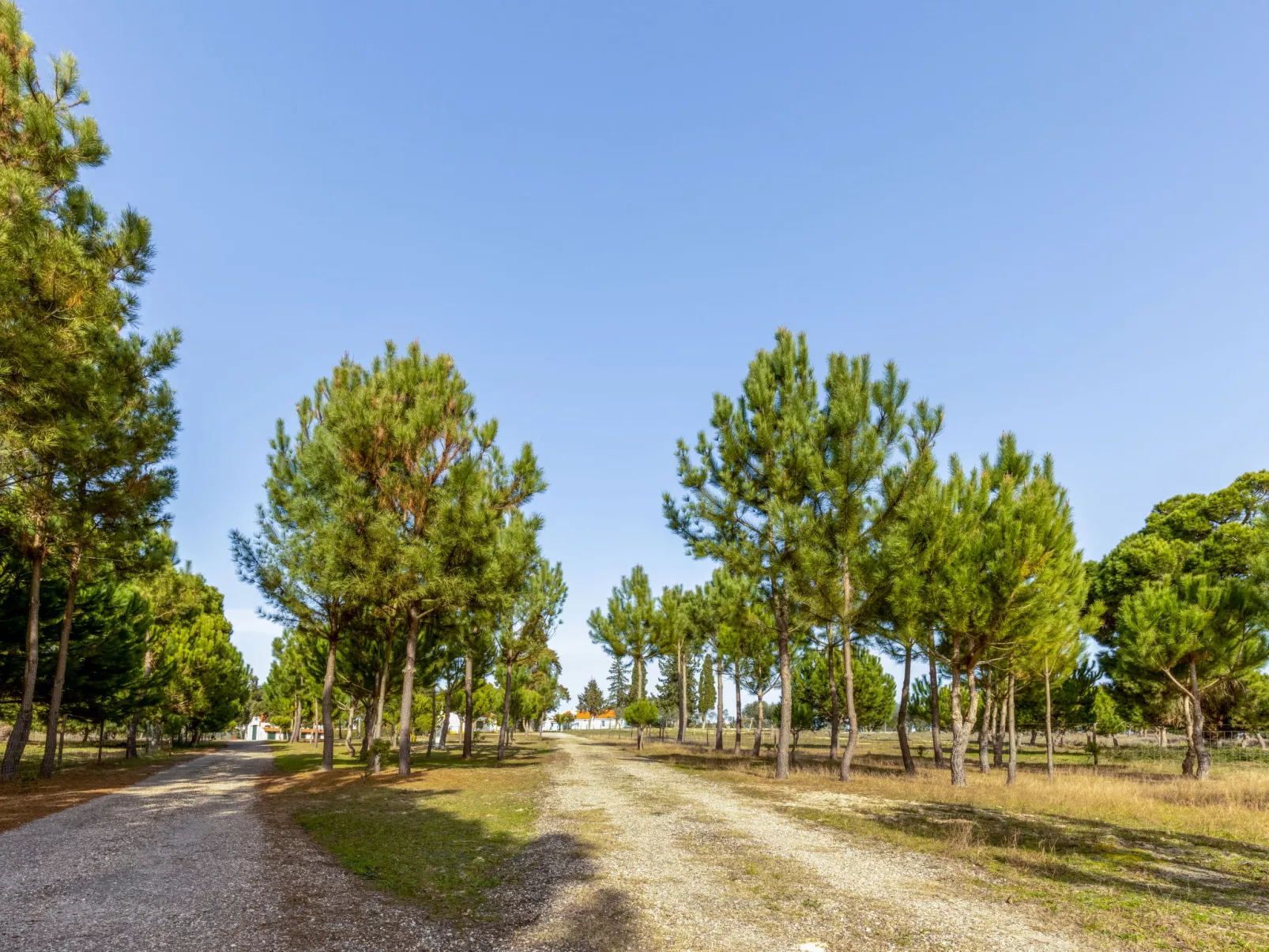 Quinta de Santa Emilia 1-Outside