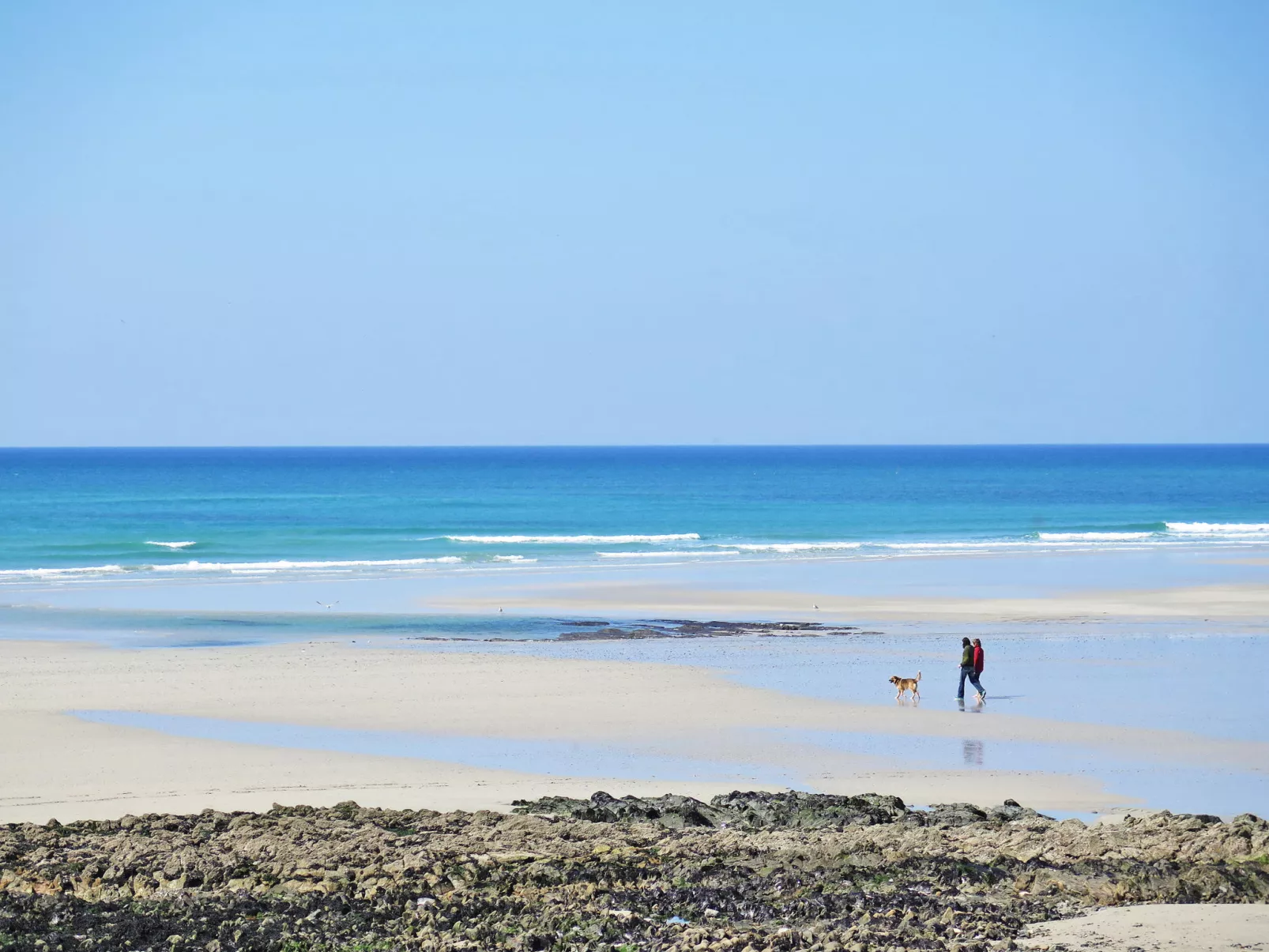 Entre terre et mer-Area