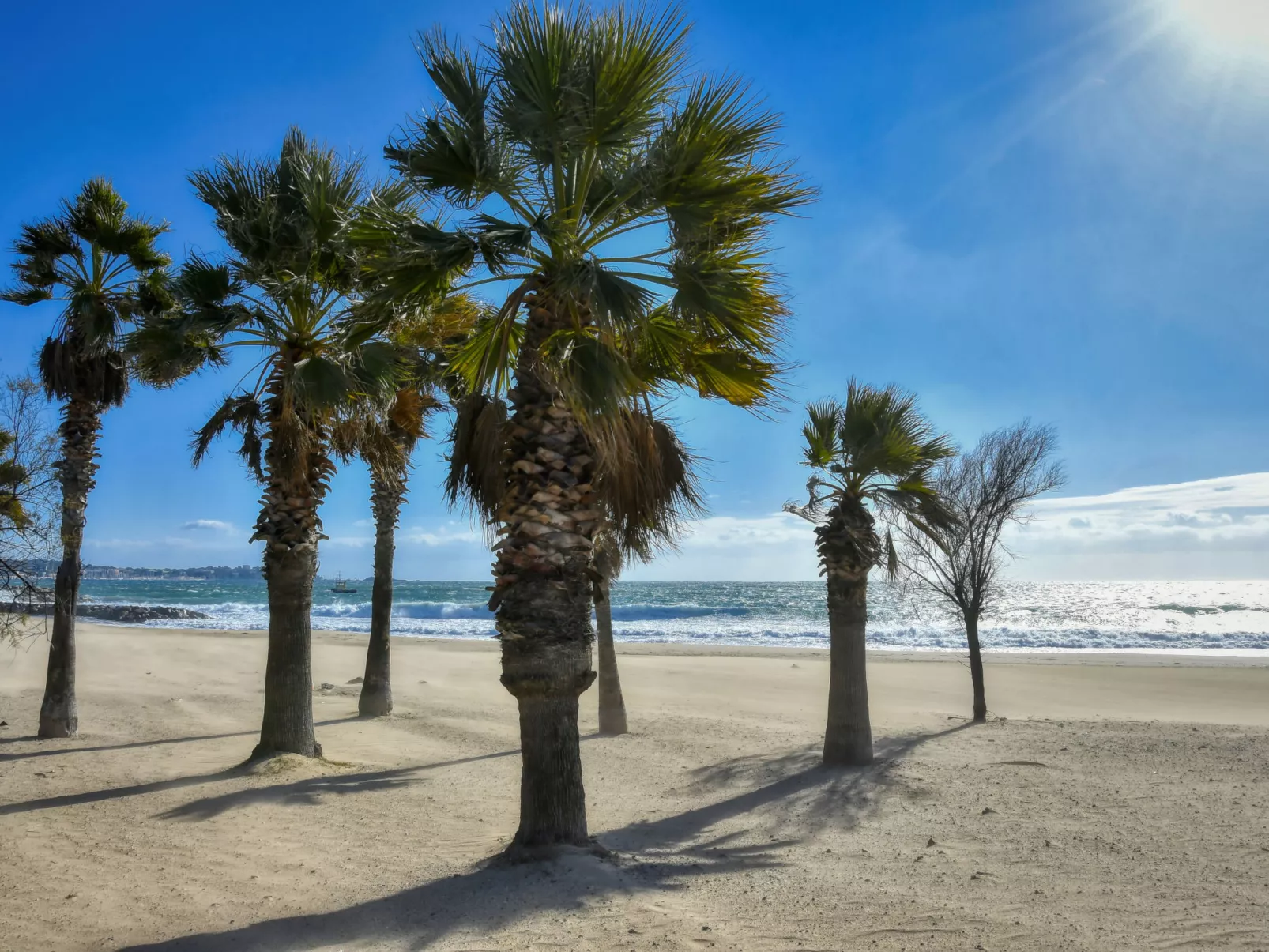 Les Sables-Environnement