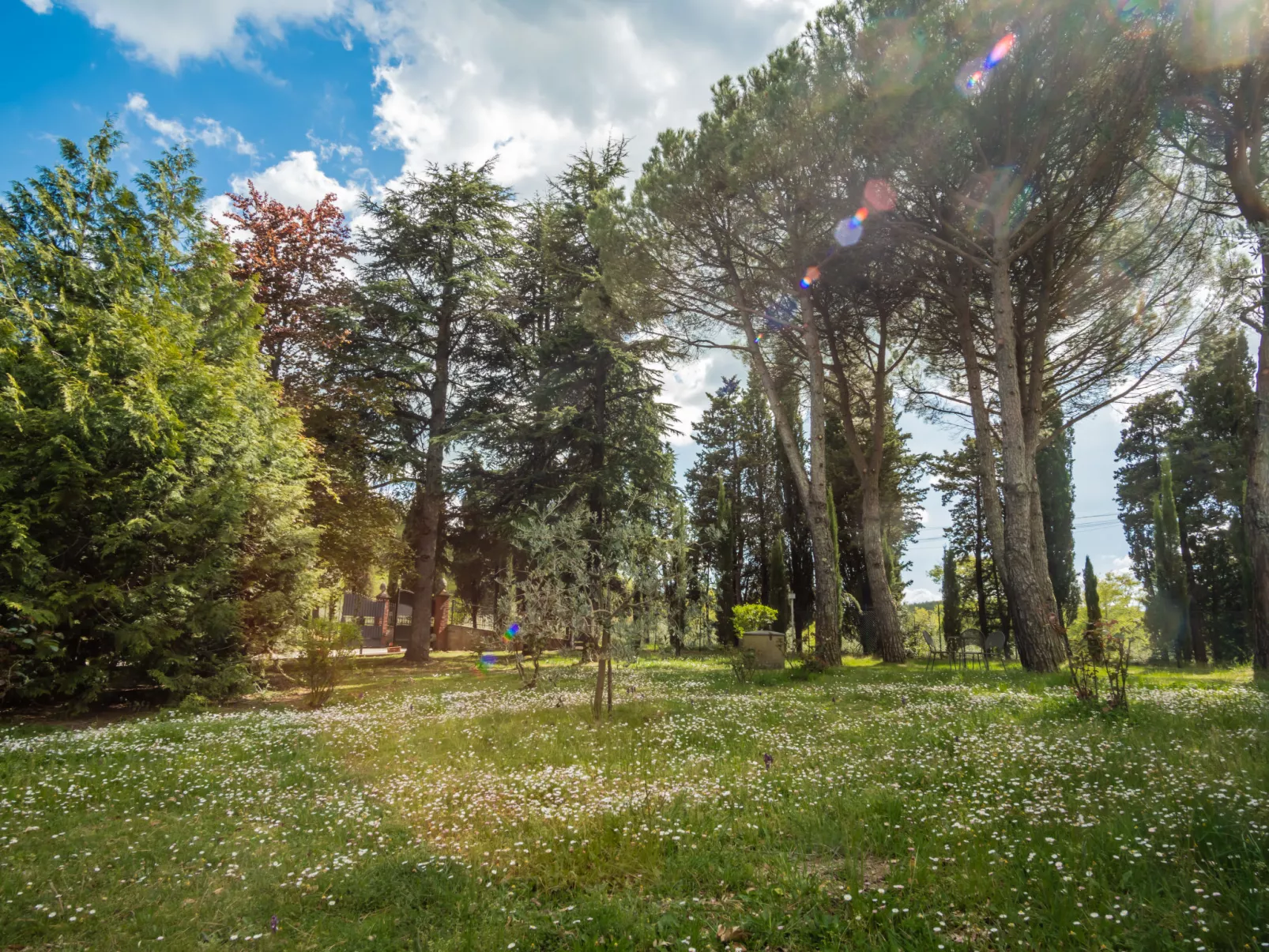 Villa Le Pine-Outside