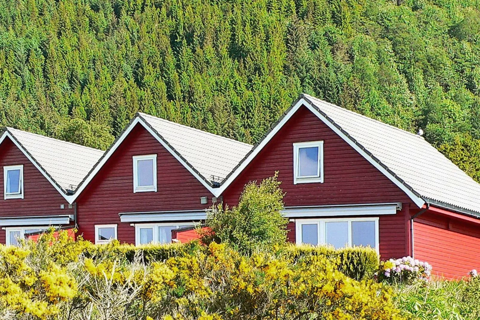 TORSKEN 40412-Outdoor