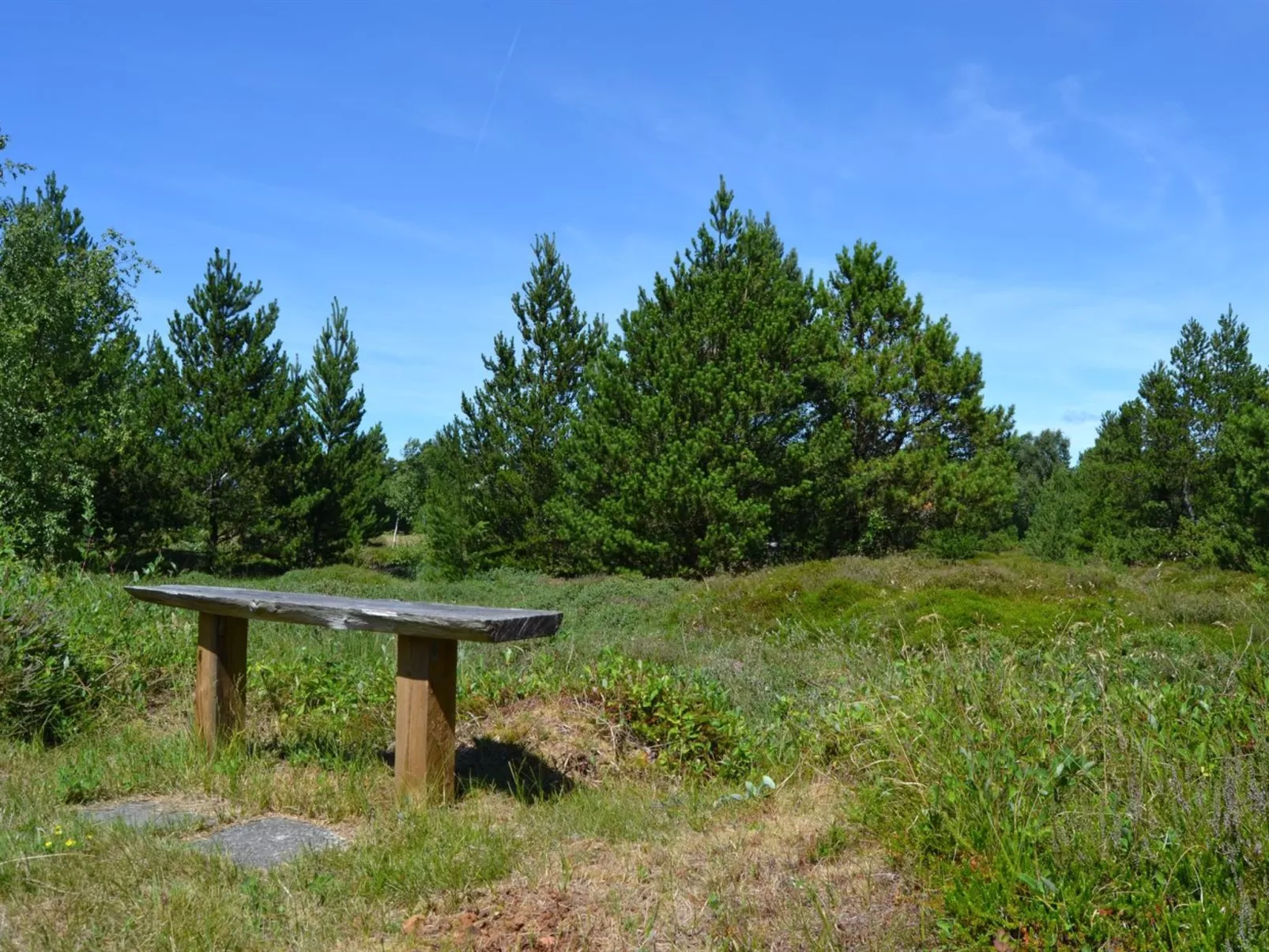 "Redward" - 1km from the sea-Outside