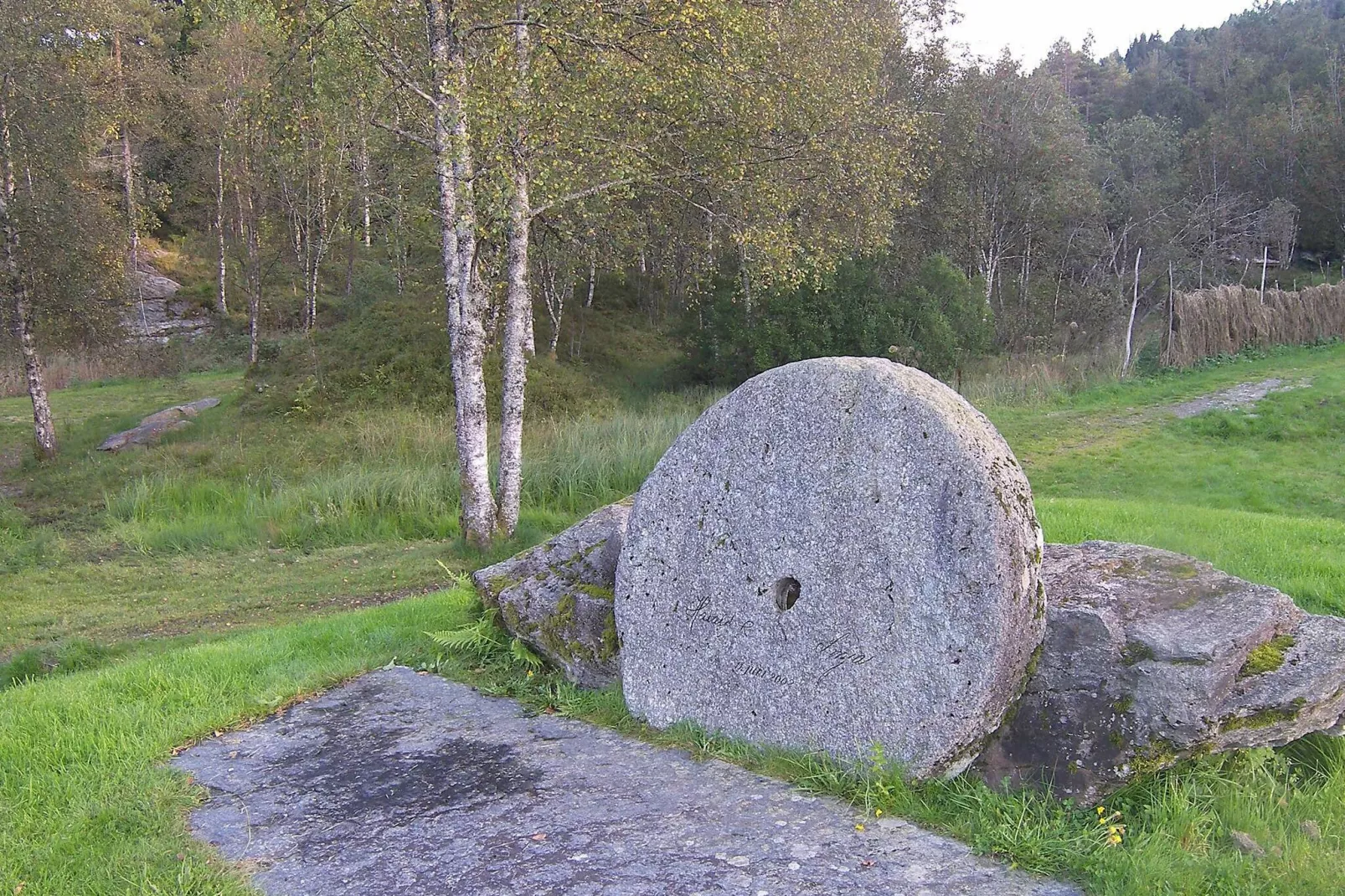 TORSKEN 40412-View