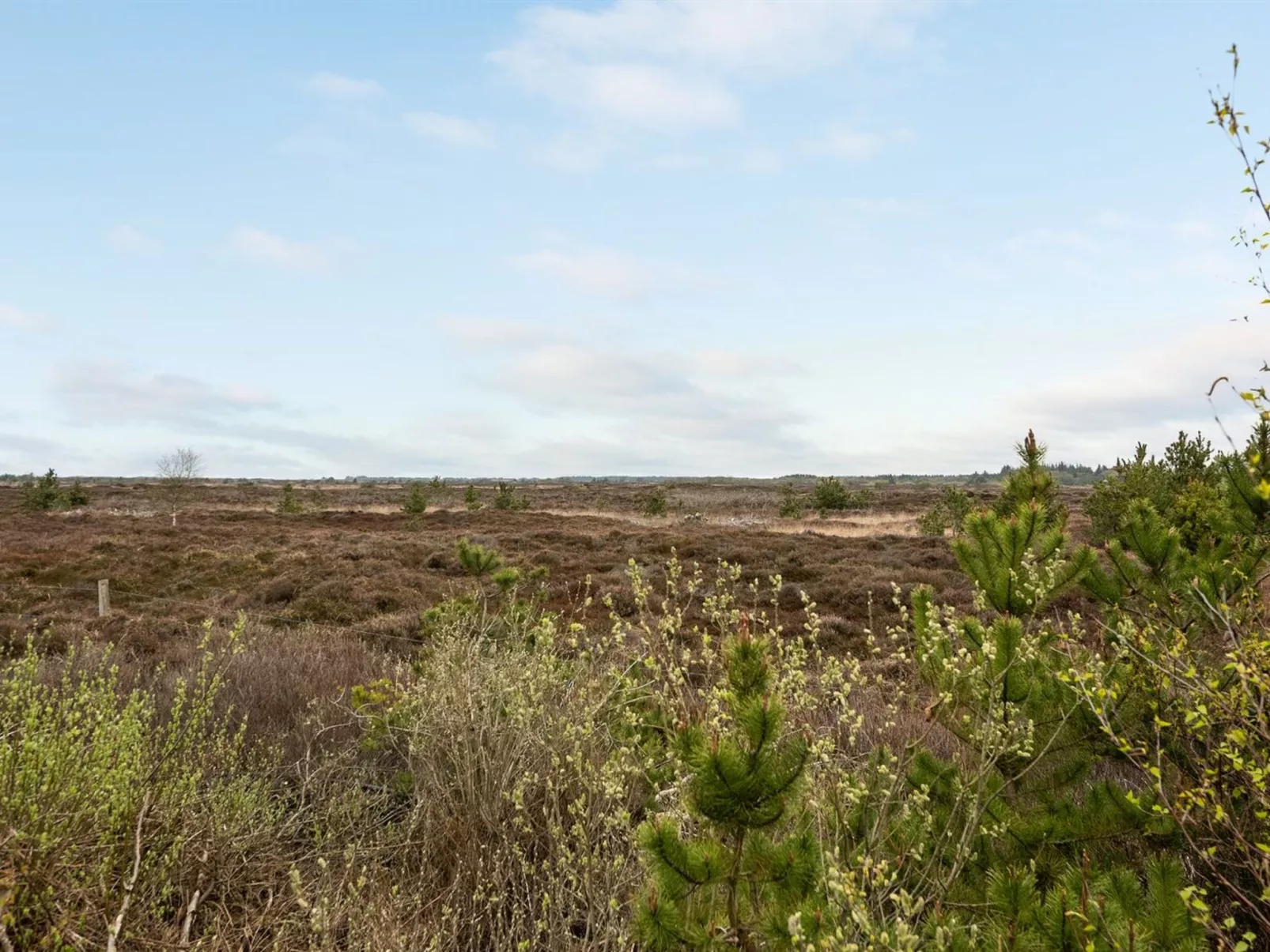 "Artan" - 2.6km from the sea-Inside