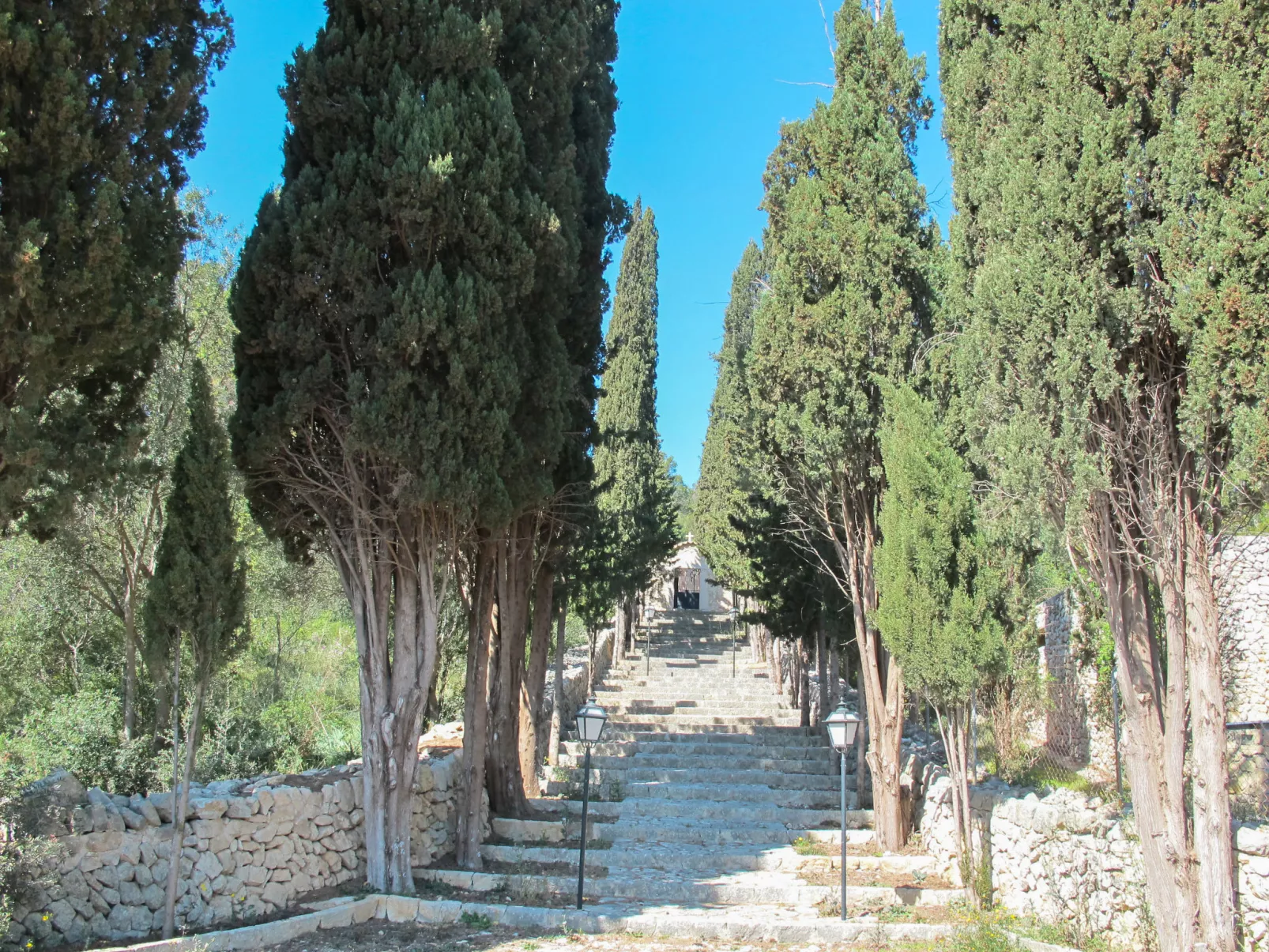Can Passos-Area