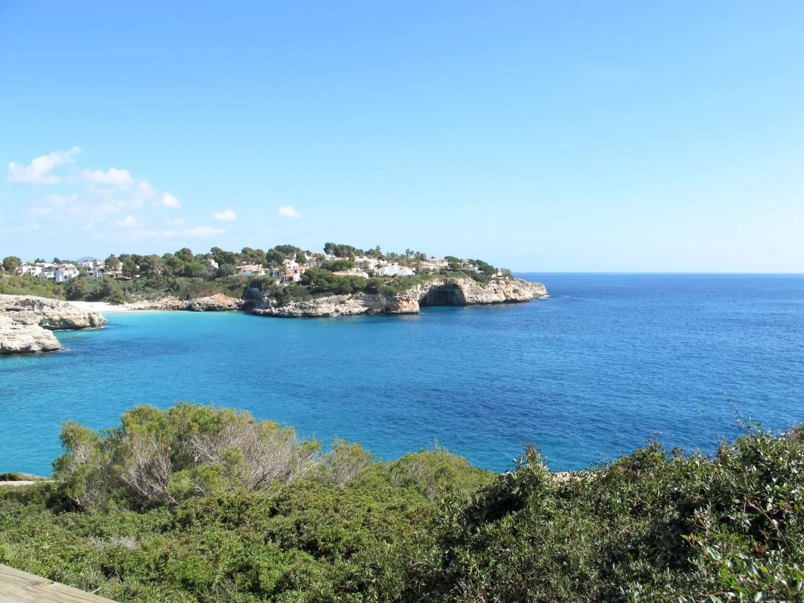 Penthouse Las Palmeras-Area