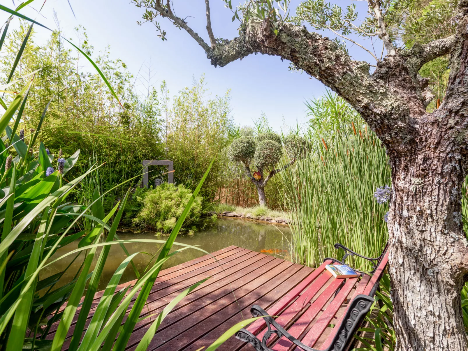 Quintal das Oliveiras-Outside