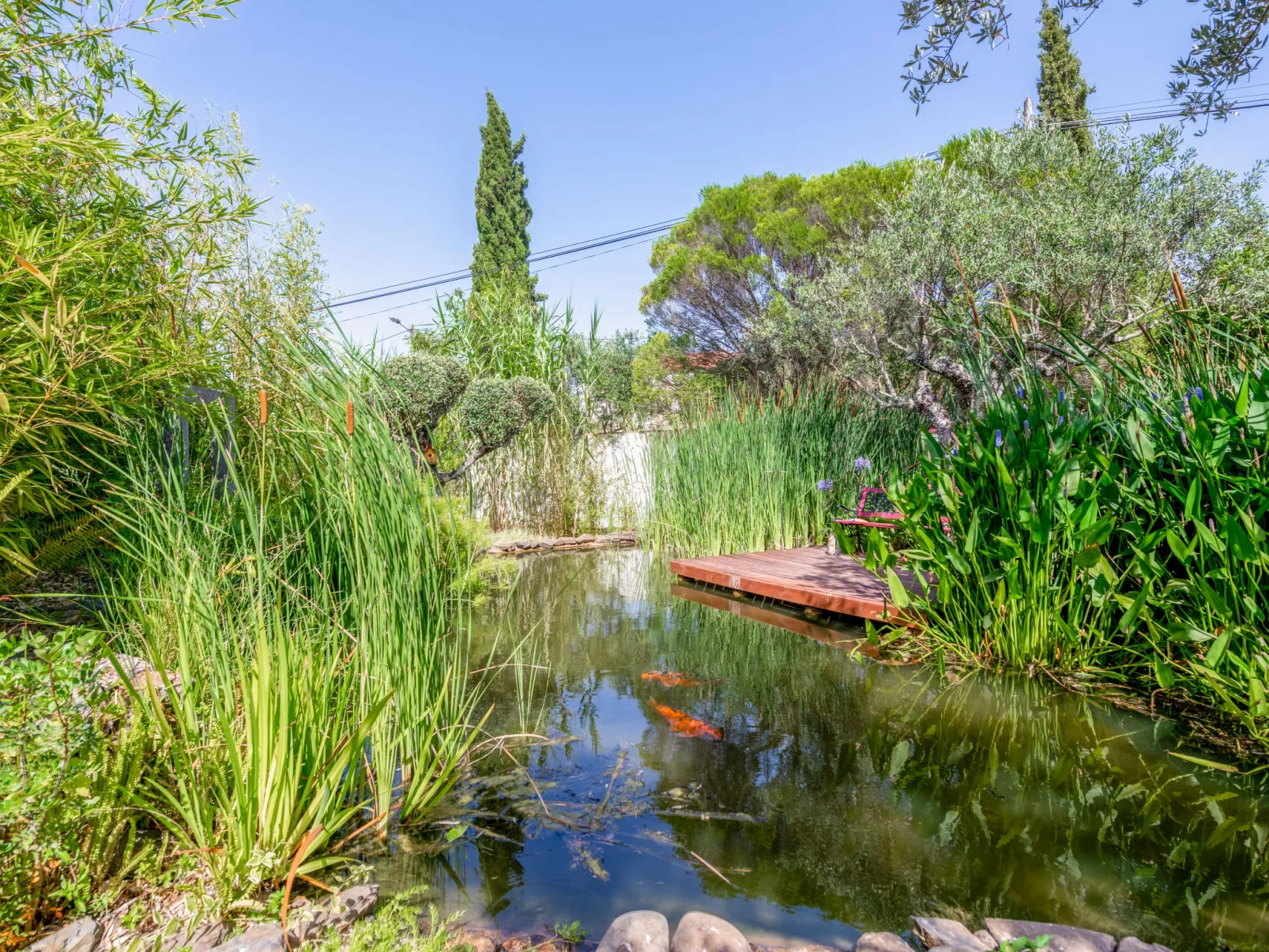 Quintal das Oliveiras-Outside