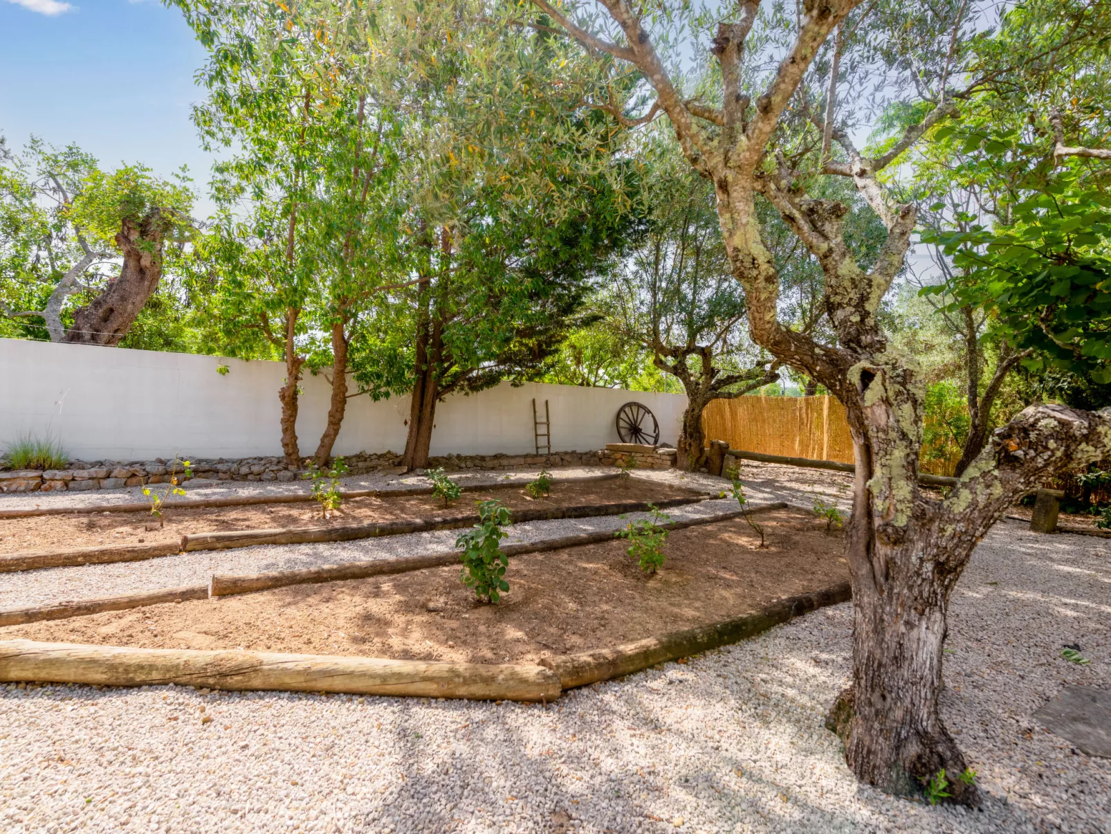 Quintal das Oliveiras-Outside