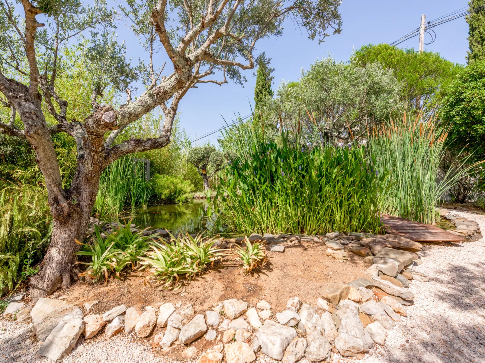 Quintal das Oliveiras-Outside