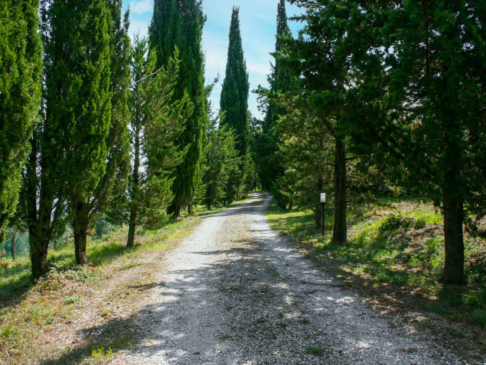 A spasso tra gli ulivi-Outside